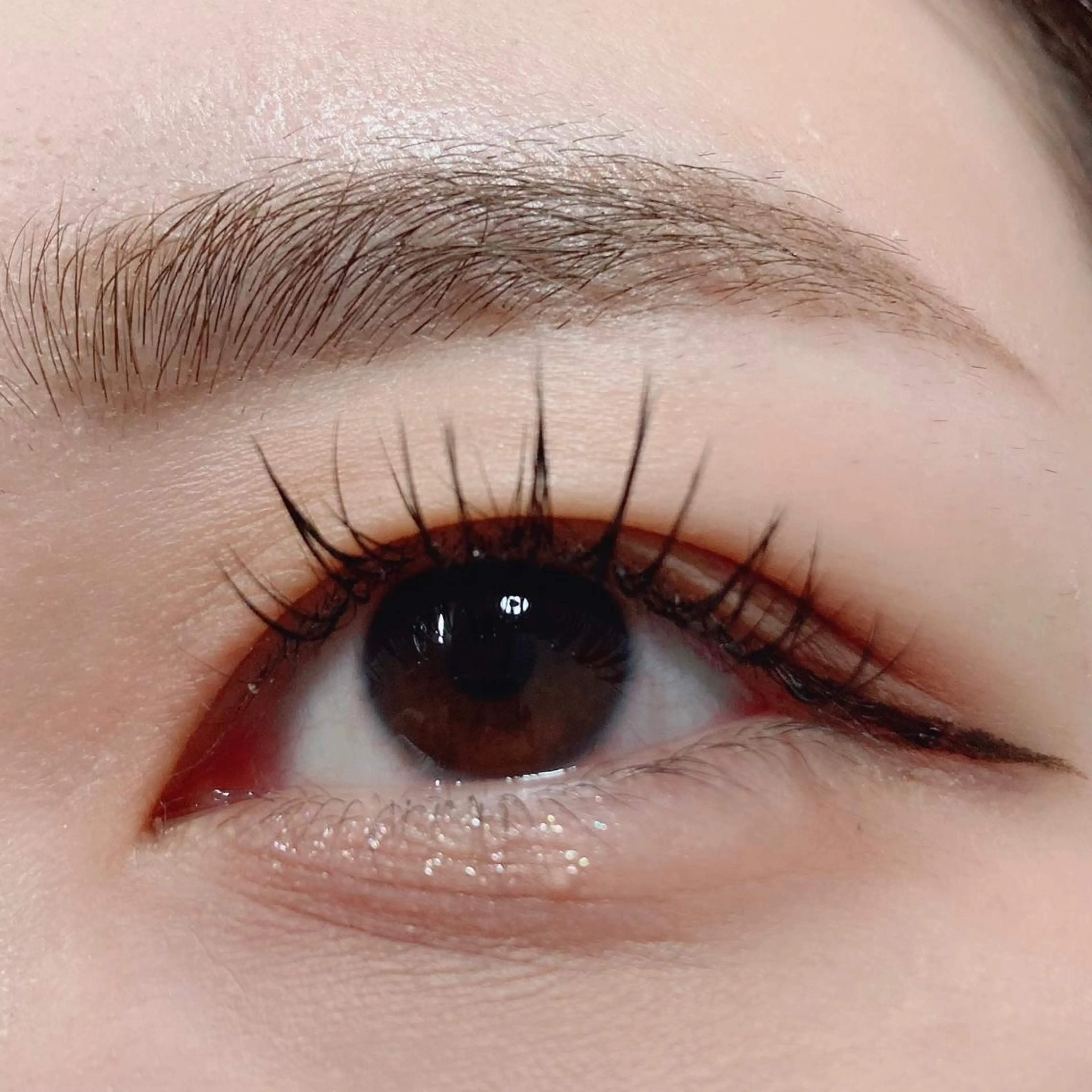 ãããšã¯ã»ããã ãããšã¯ oriharað ãŸã€ãããŒã/çæ¯ã®ãããšã¯ã»ããããã¶ã€ã³