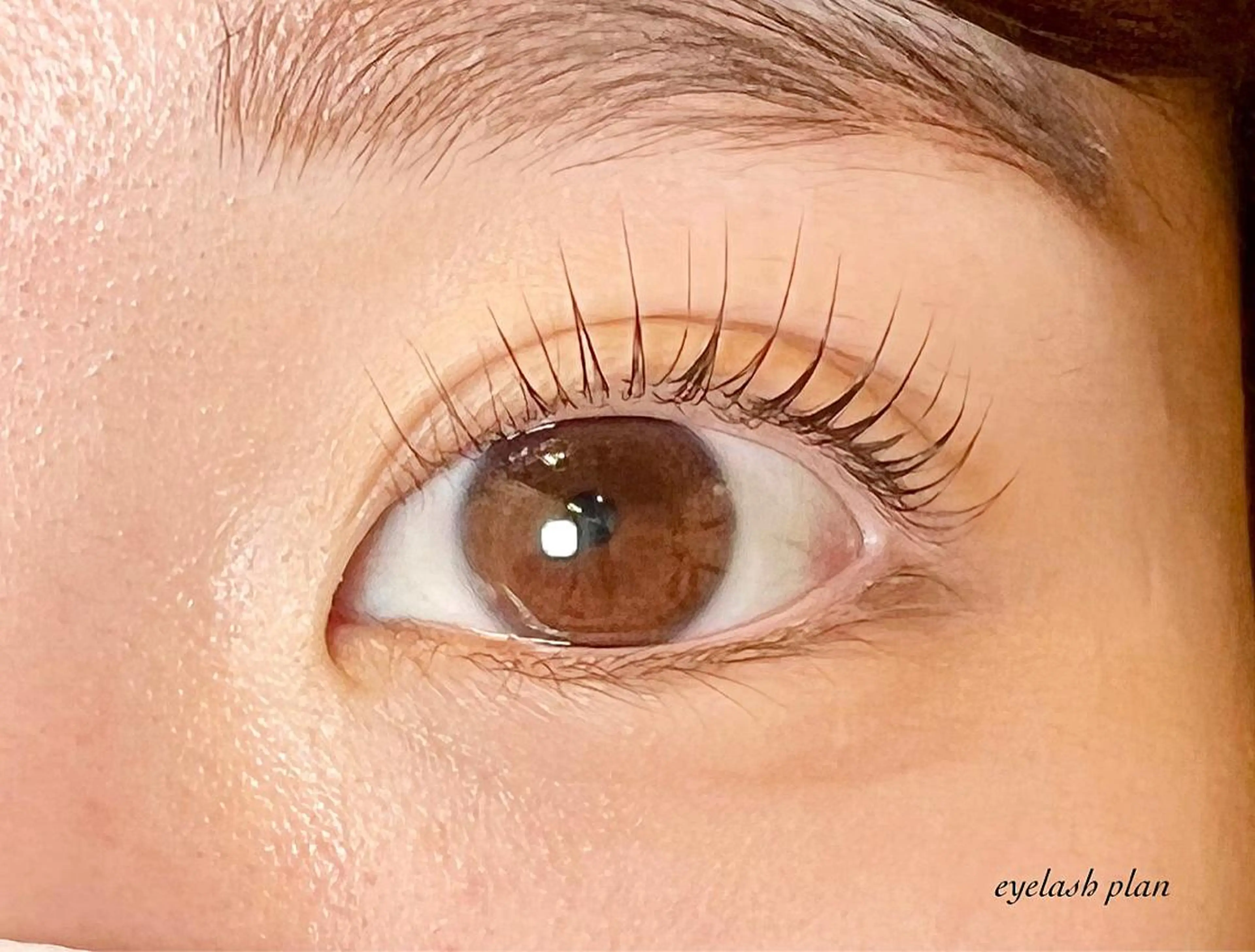 マツエク・マツパ パリジェンヌラッシュリフト マツパ eyelash plan api所属・【plan】 kaoriのマツエク・マツパデザイン