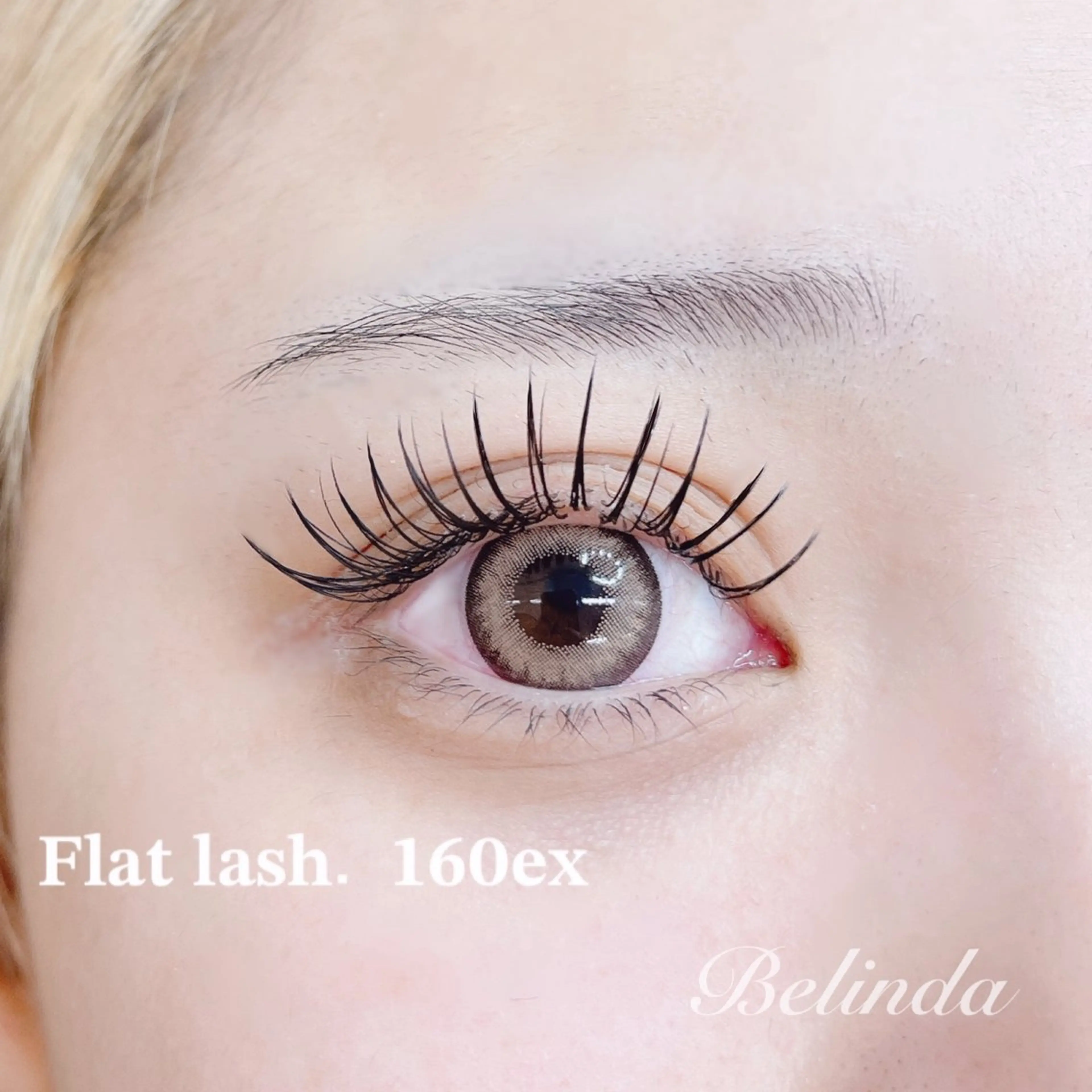 【セーブル】１６０本 オフ有り　　　　　　《ﾌﾗｯﾄは＋1000円》の写真