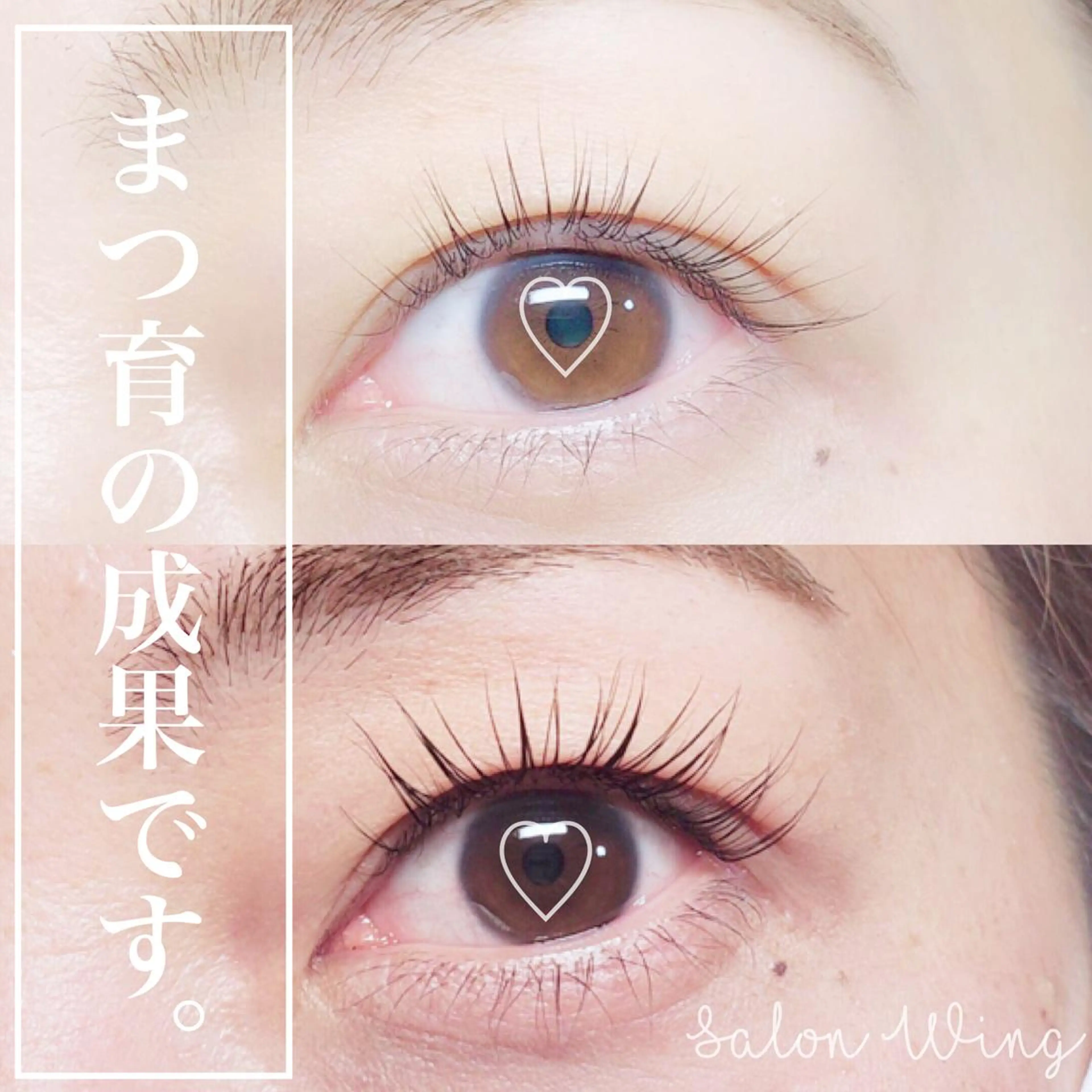 マツエク・マツパ マツパ wing rinaのマツエク・マツパデザイン