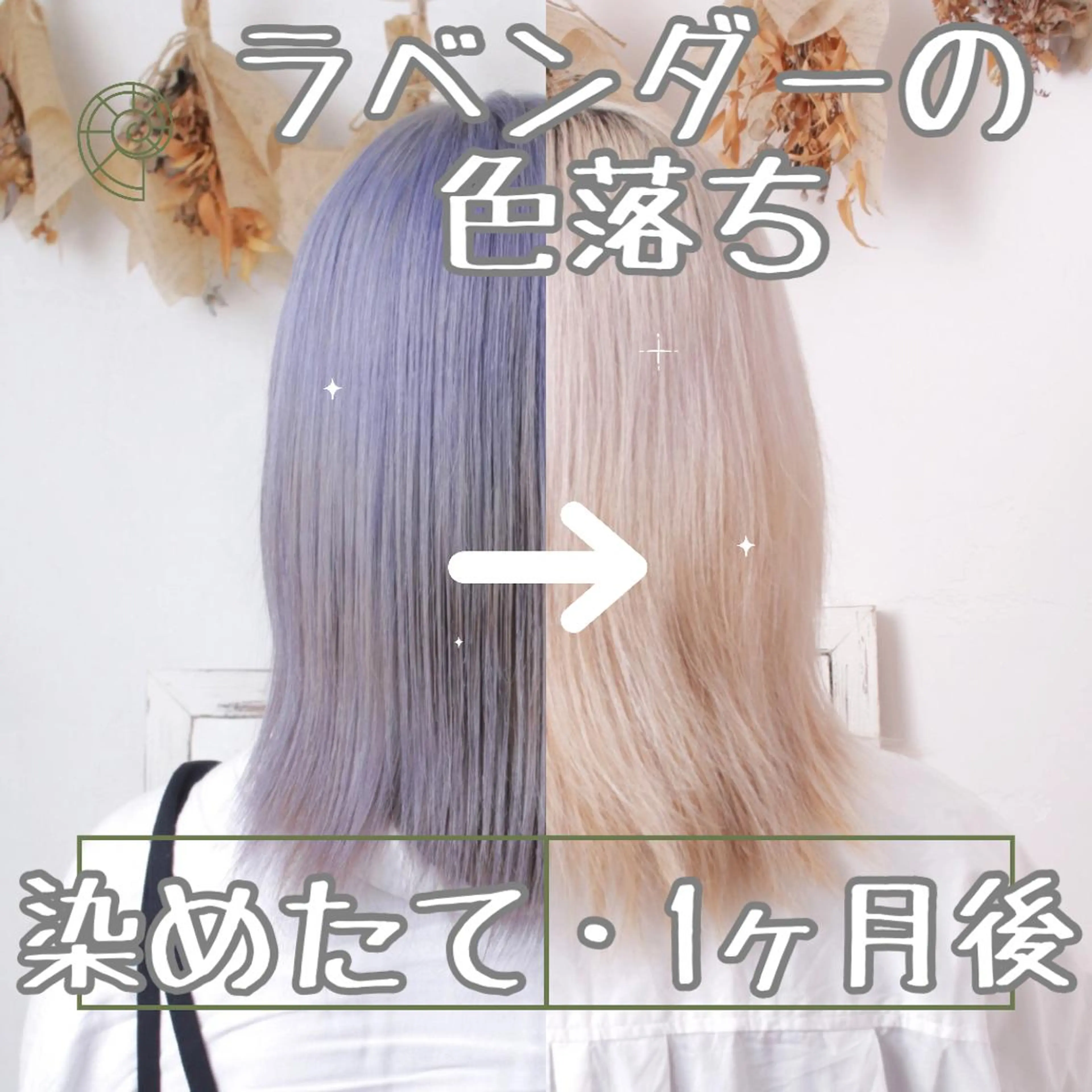 ショート カラー パーマ ヘアアレンジ ヘアカラー トリートメント 推し活専用 【派手髪】飯野ゆかりのヘアスタイル