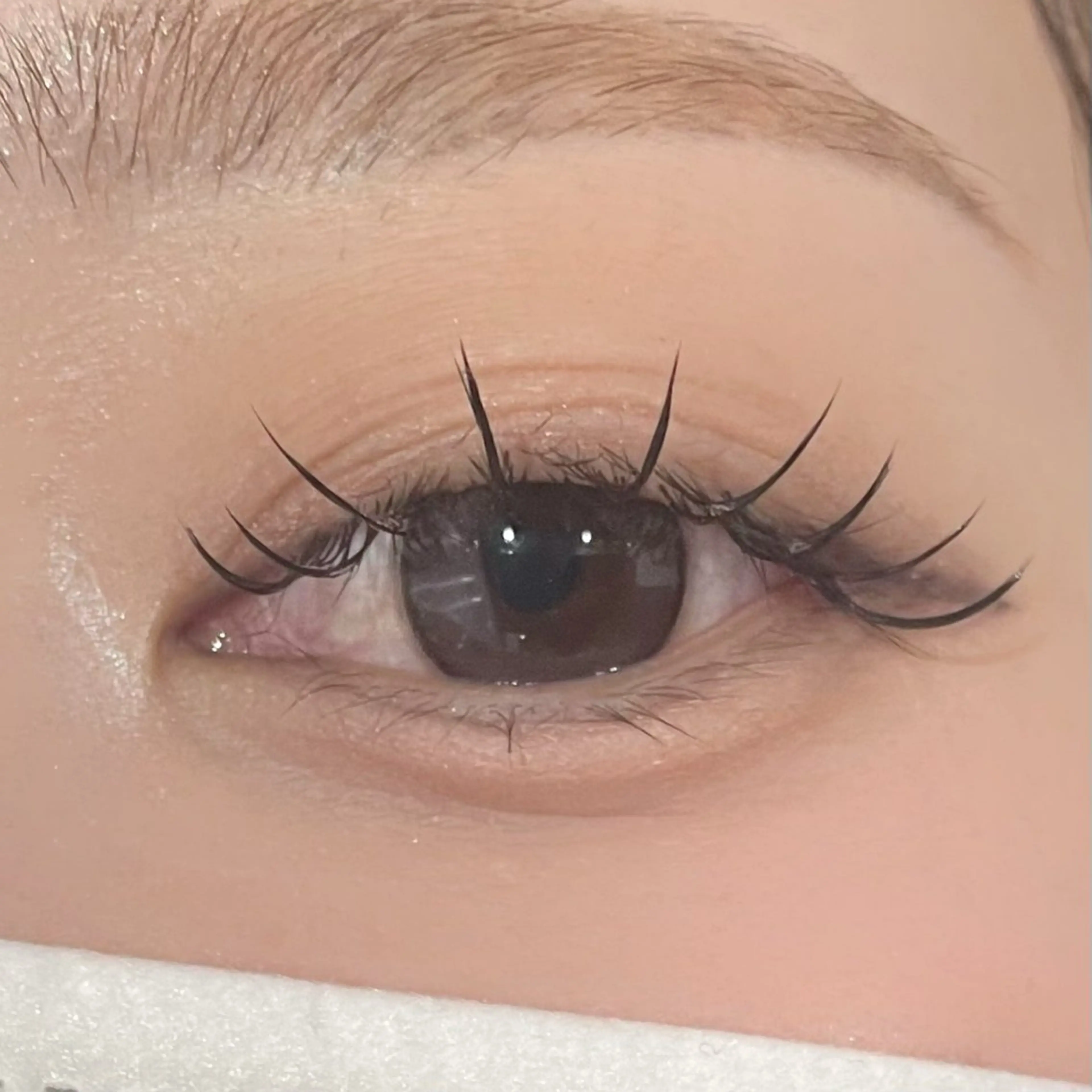 マツエク・マツパ フラットラッシュ ナチュラル Beauty Salon Cherish 中川店所属・Cherish名古屋 高畑💫馬渕奈恵💫のマツエク・マツパデザイン