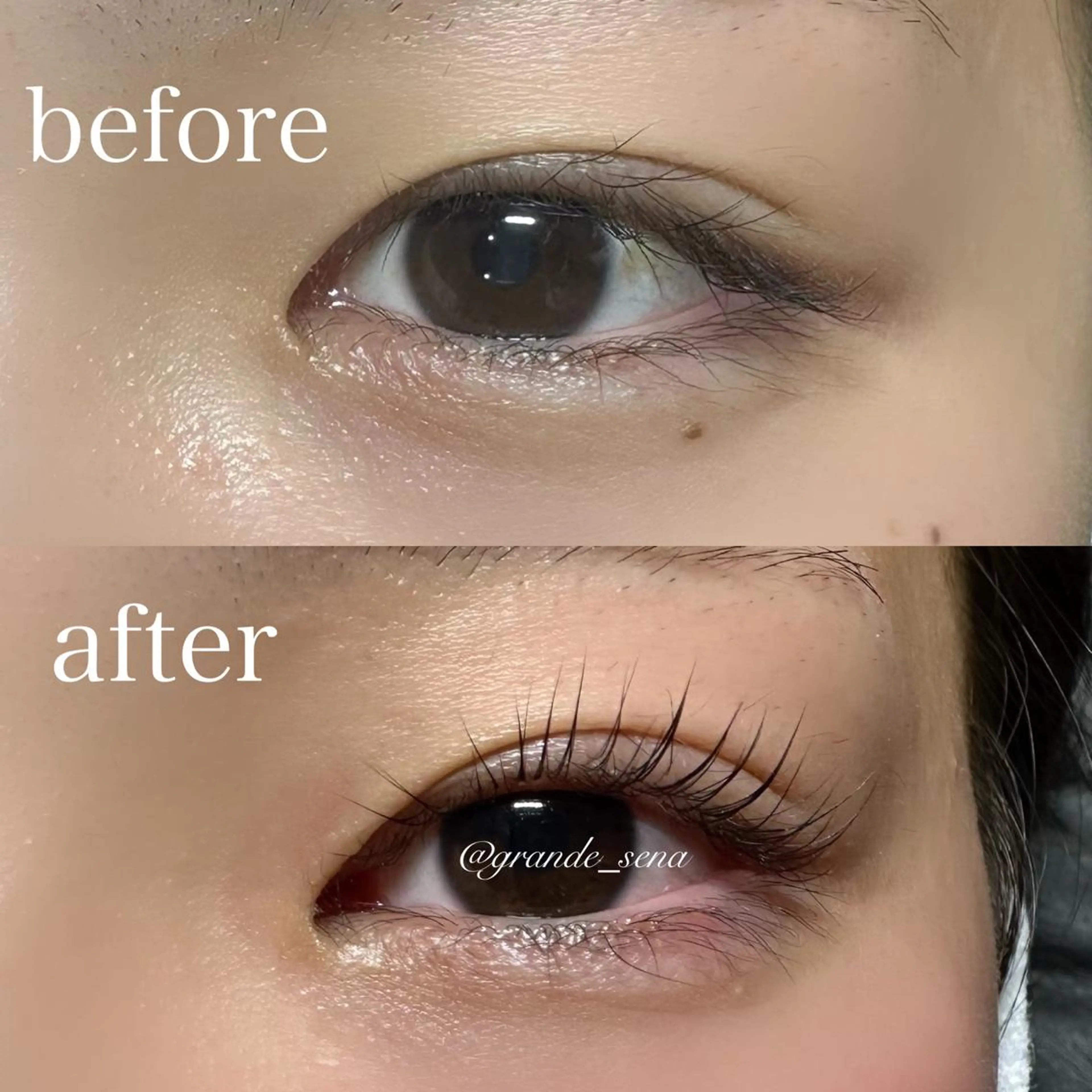 マツエク・マツパ マツパ NOA名駅束感まつげ ×眉毛SENA🎀のマツエク・マツパデザイン