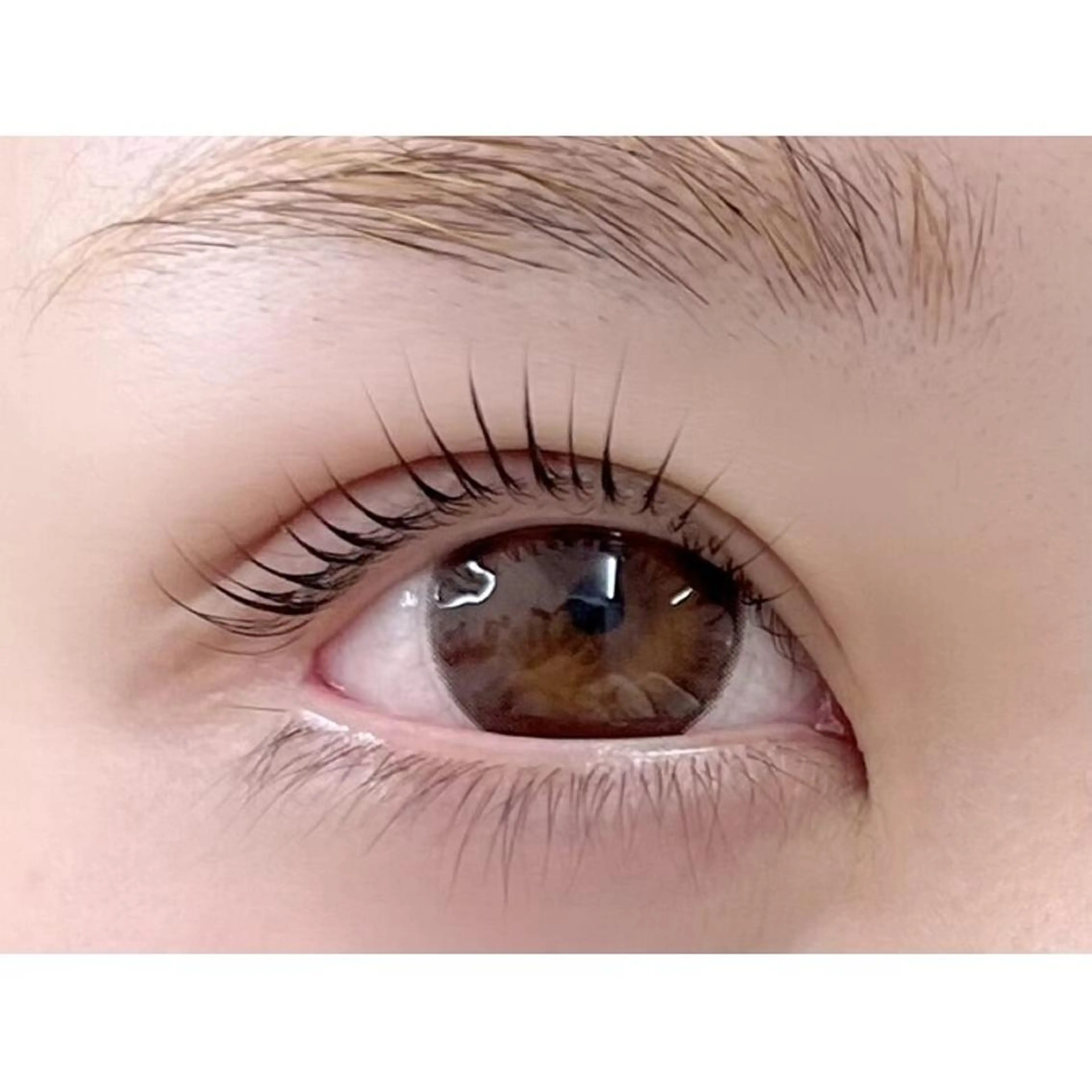 マツエク・マツパ 束感まつ毛 フラットラッシュ 韓国風マツエク ワンホンマツエク 【Elun新宿】 Aimiのマツエク・マツパデザイン