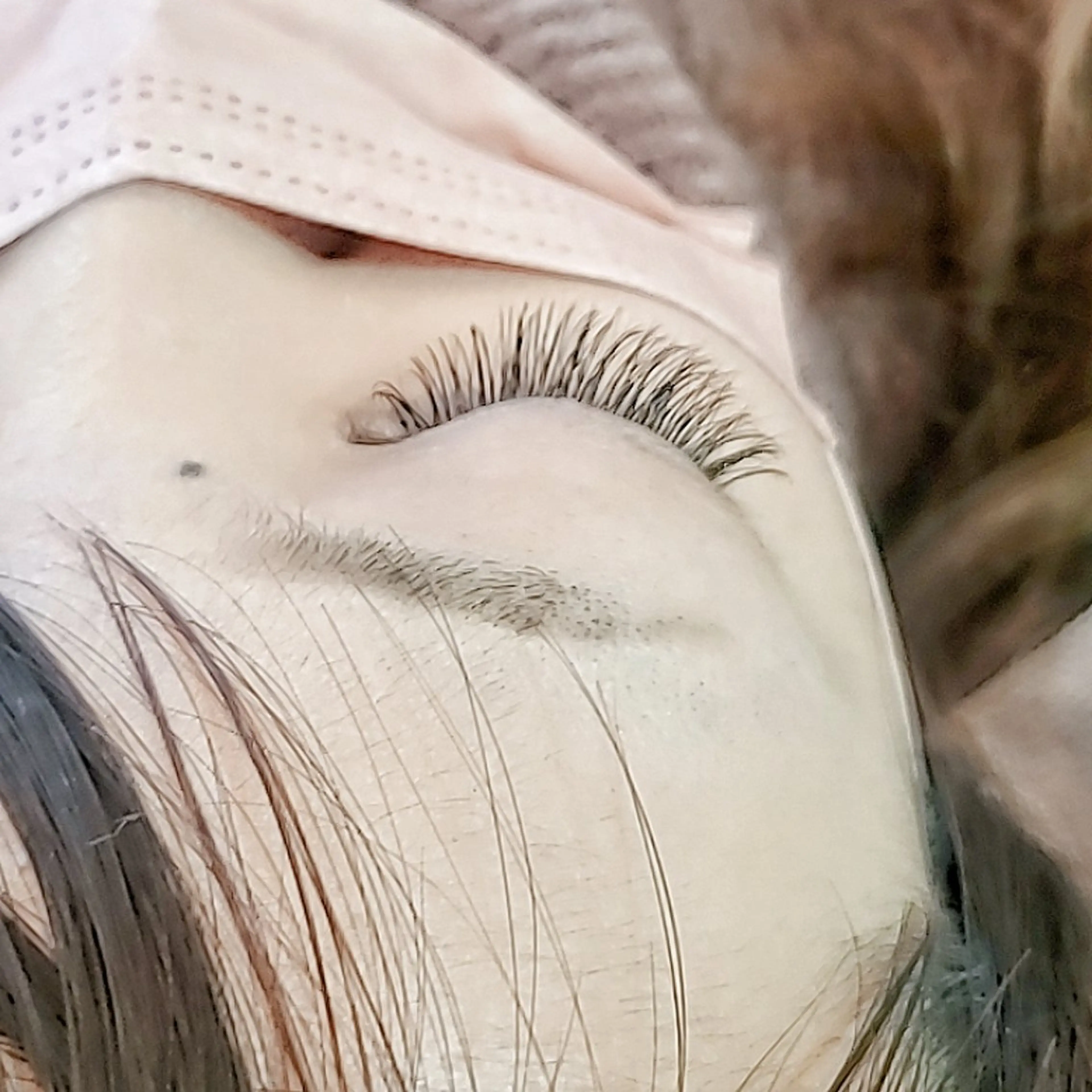 3Dボリュームラッシュ　240本(80束)の写真