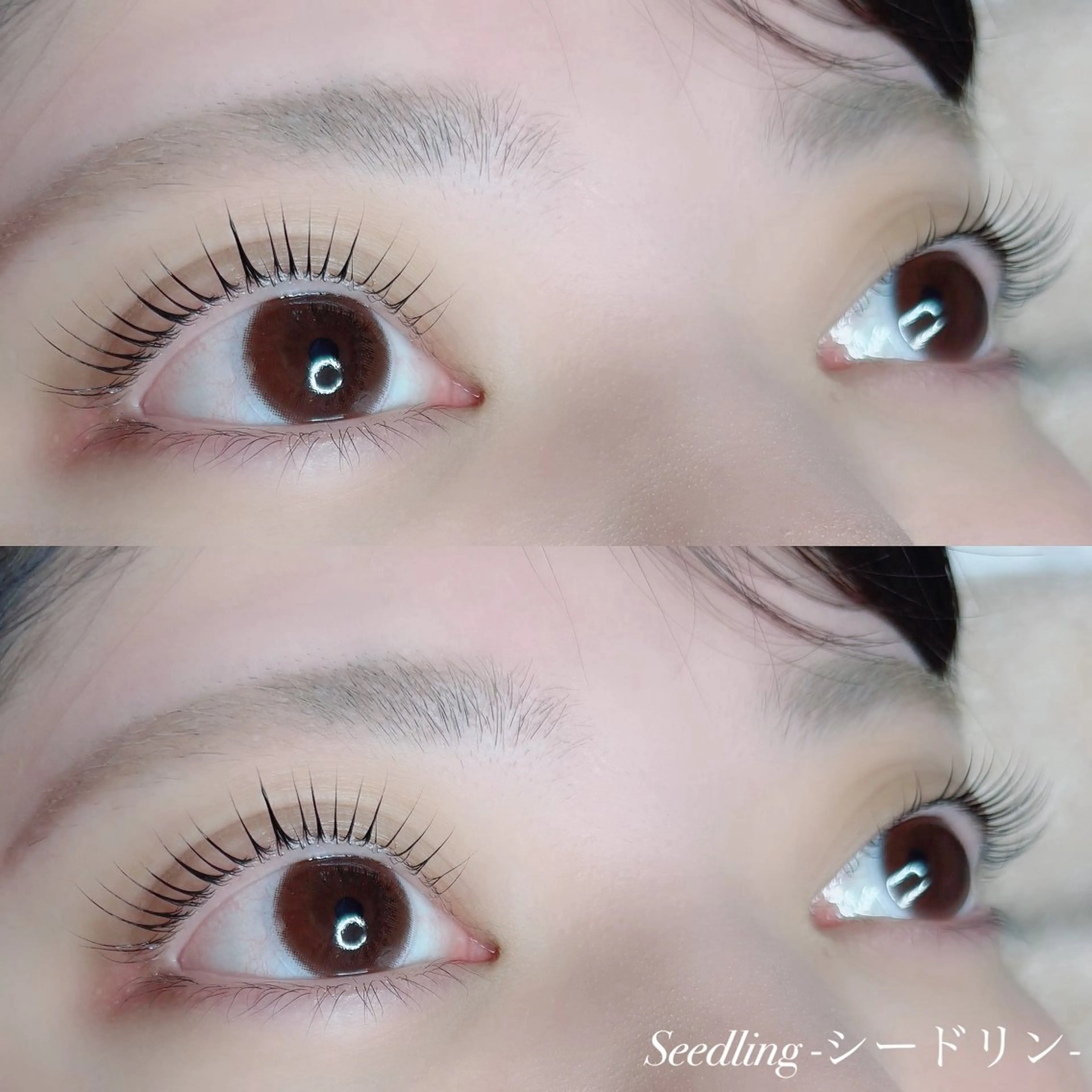 マツエク・マツパ シードリン 府内店 小野梨央のマツエク・マツパデザイン