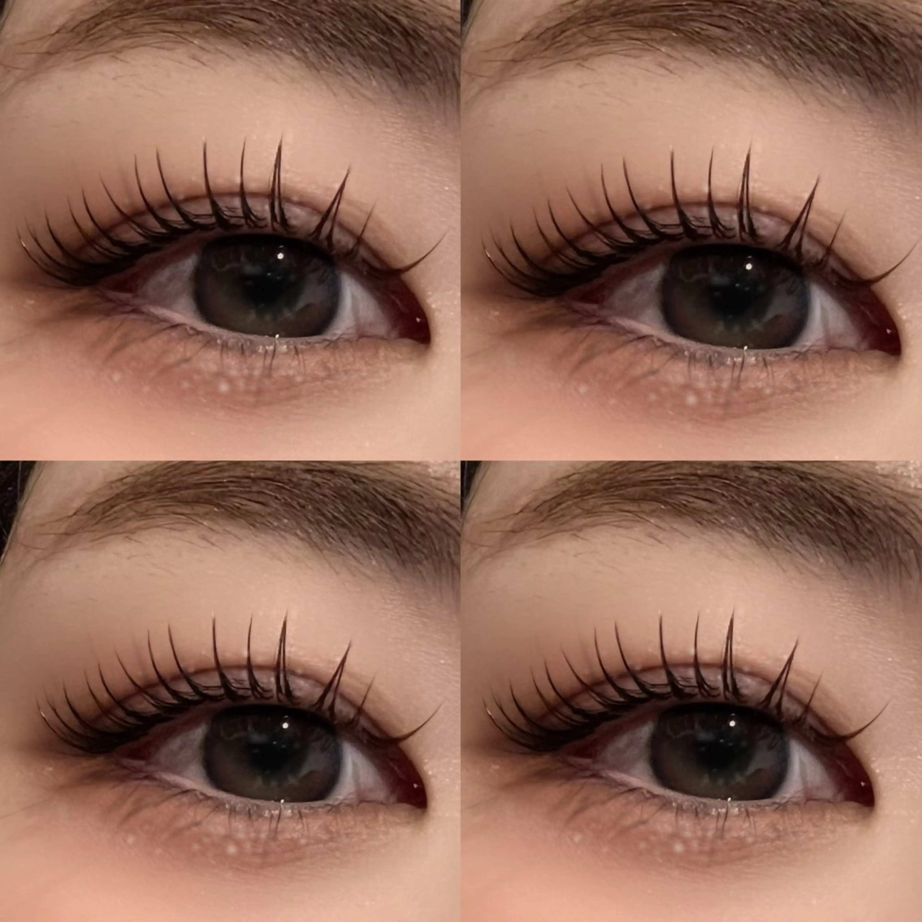 【マツエク】フラットラッシュ140本/コーティング付きの写真