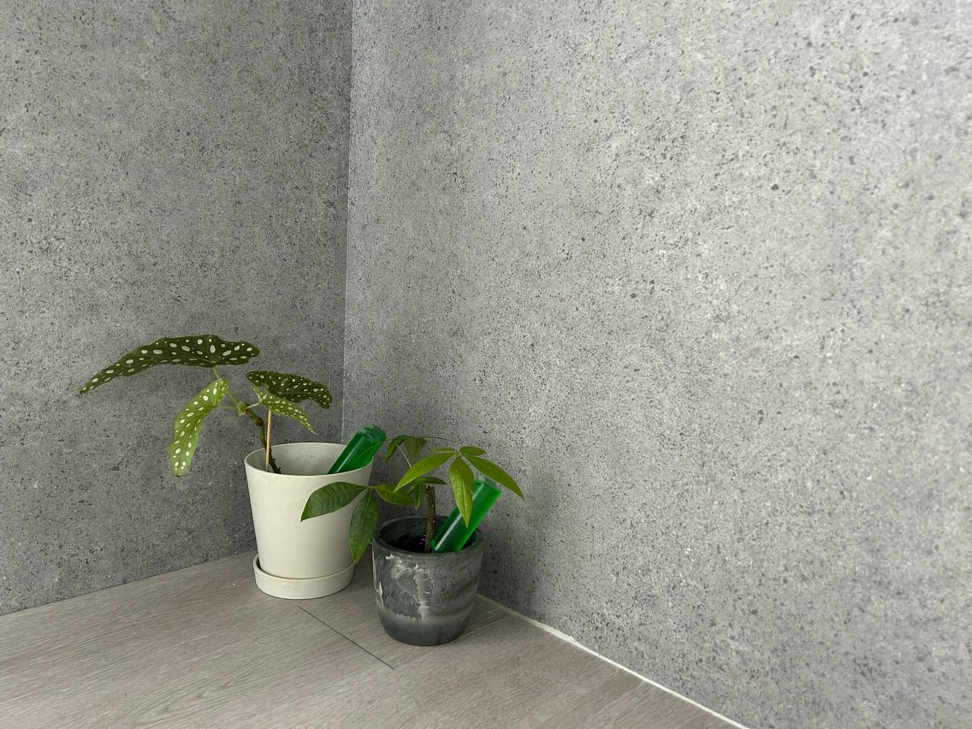 Yuhky eyelashのマツエク・マツパデザイン