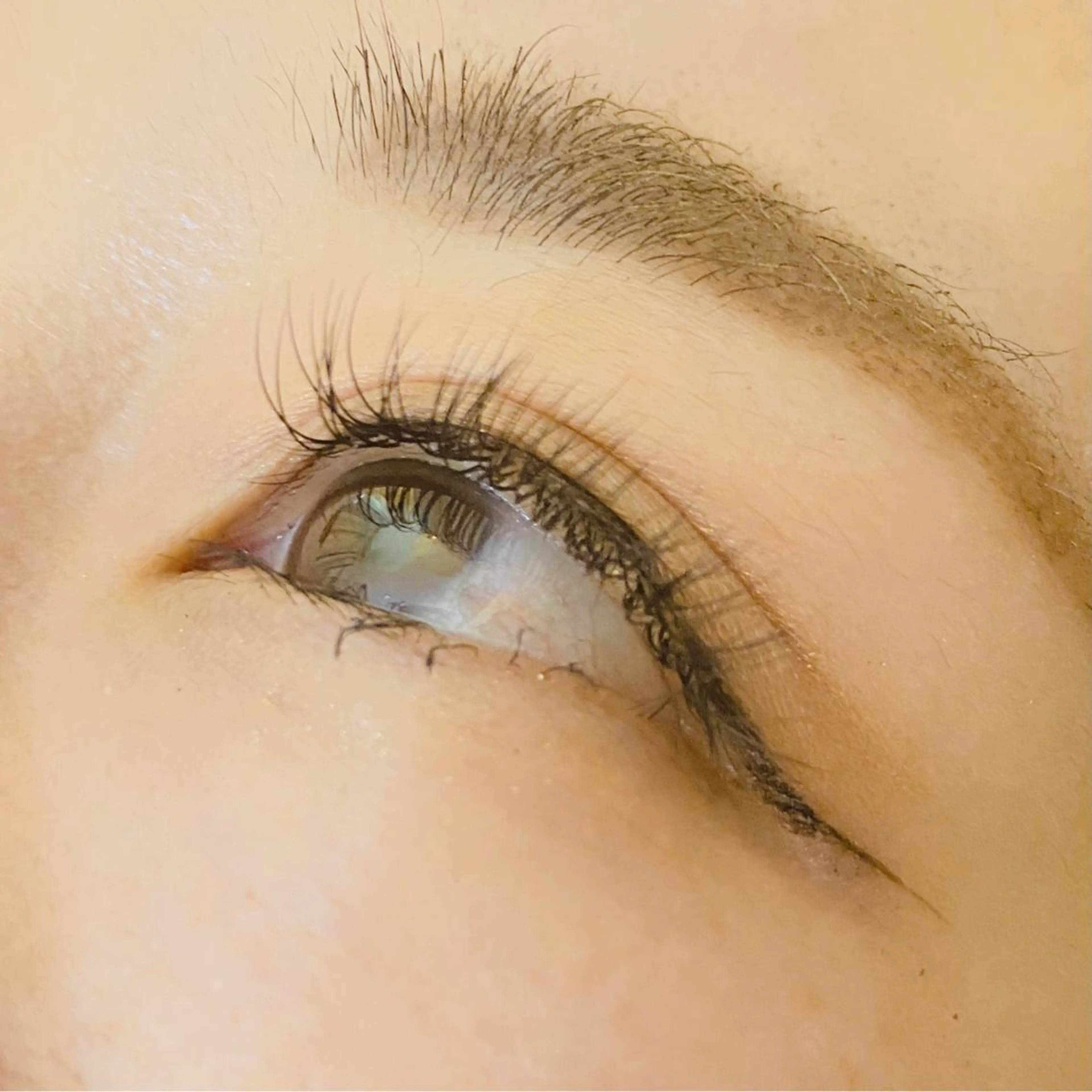 マツエク・マツパ Cカール ナチュラル セーブル August 大野のエステ・リラクイメージ