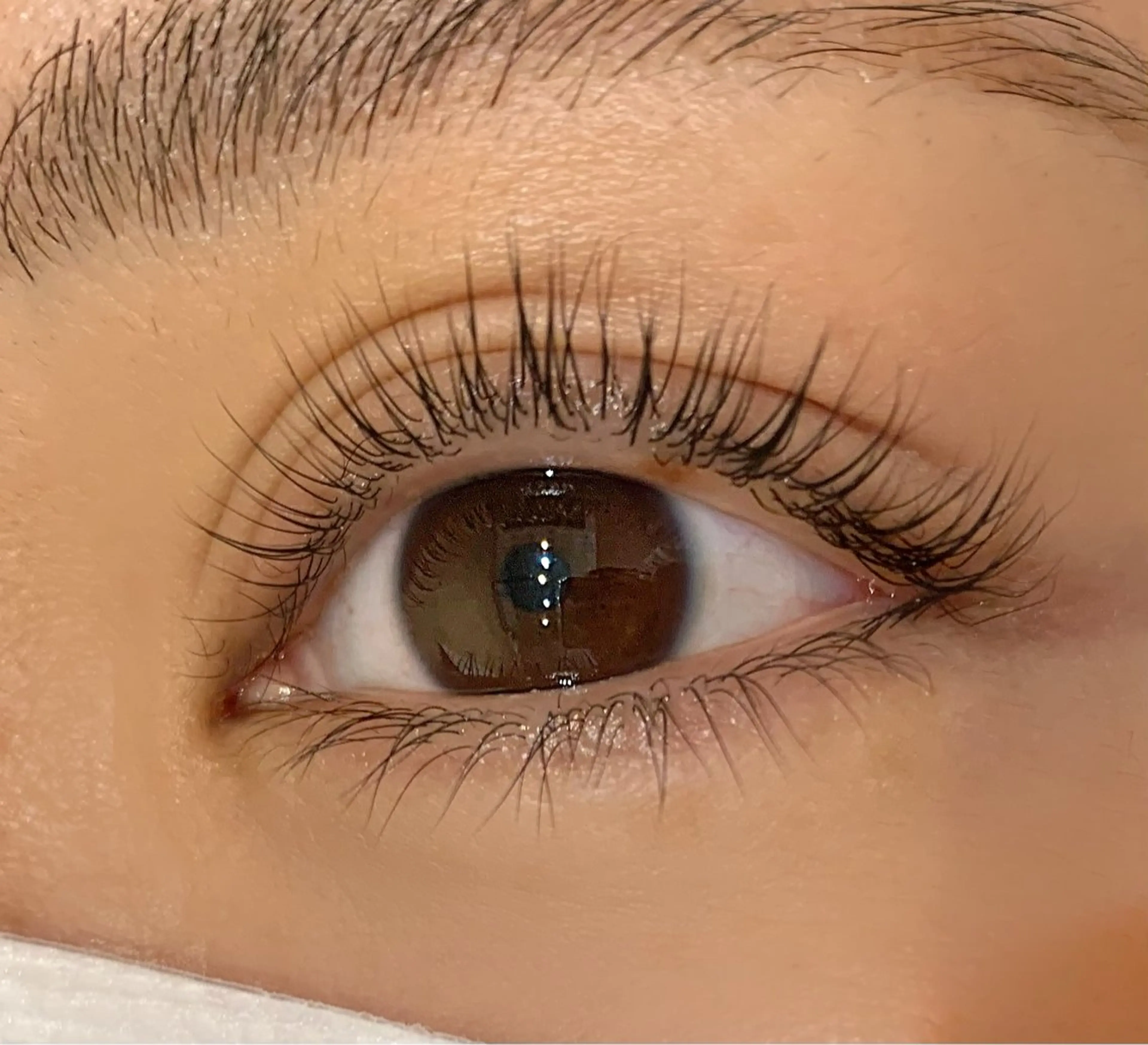 マツエク・マツパ TORCH 青柳のマツエク・マツパデザイン