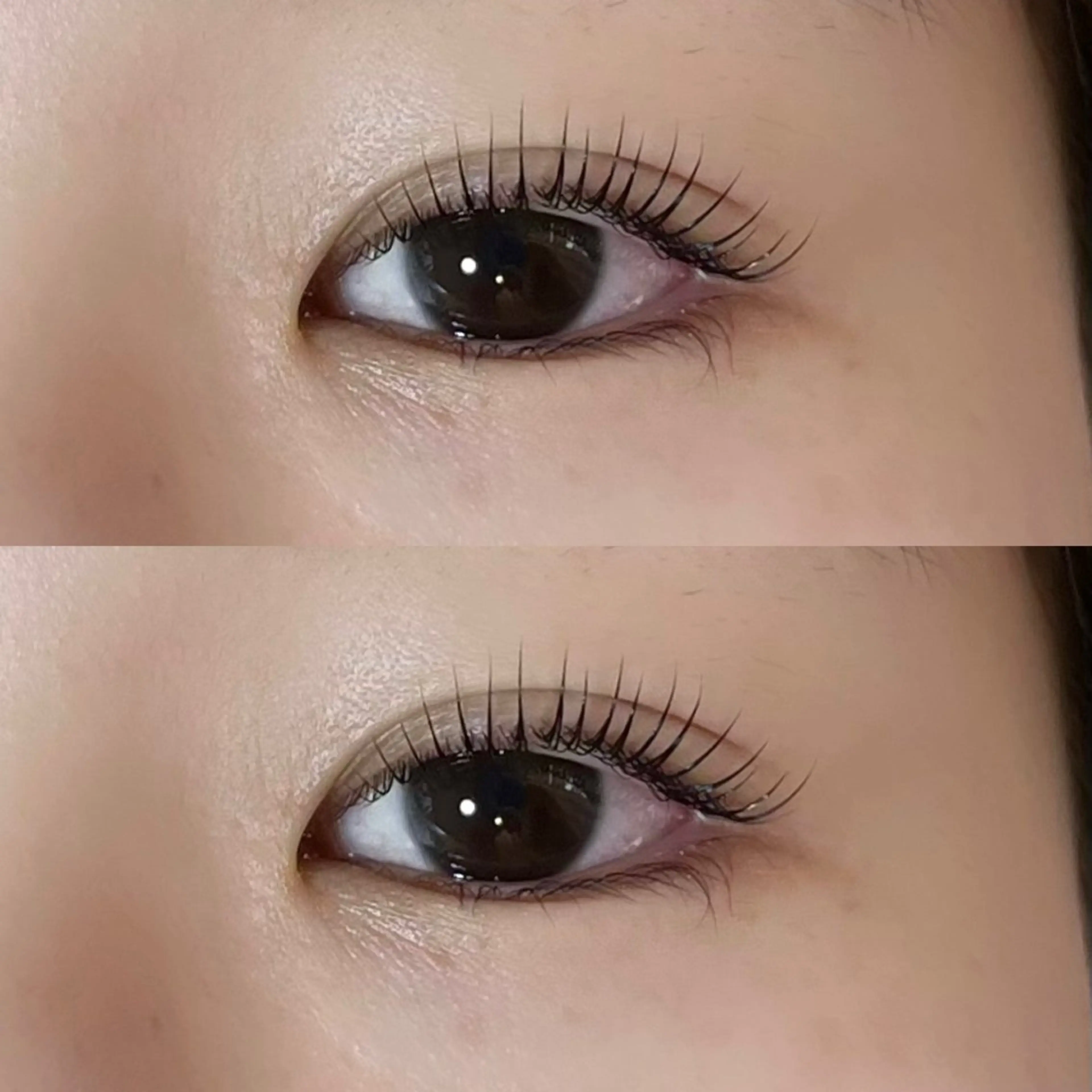 マツエク・マツパ 𝒆𝒊𝒈𝒉𝒕 杏花のマツエク・マツパデザイン