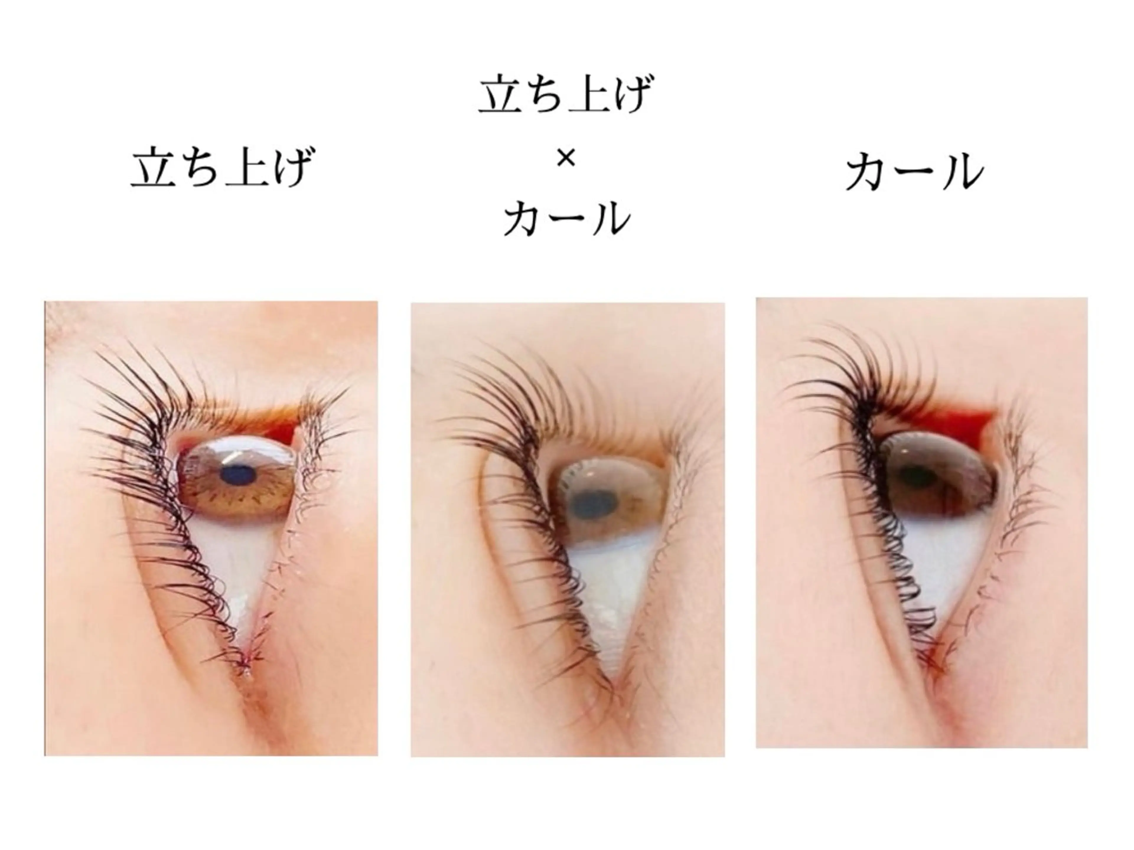 マツエク・マツパ まつげパーマ Lito by Lupieのマツエク・マツパデザイン