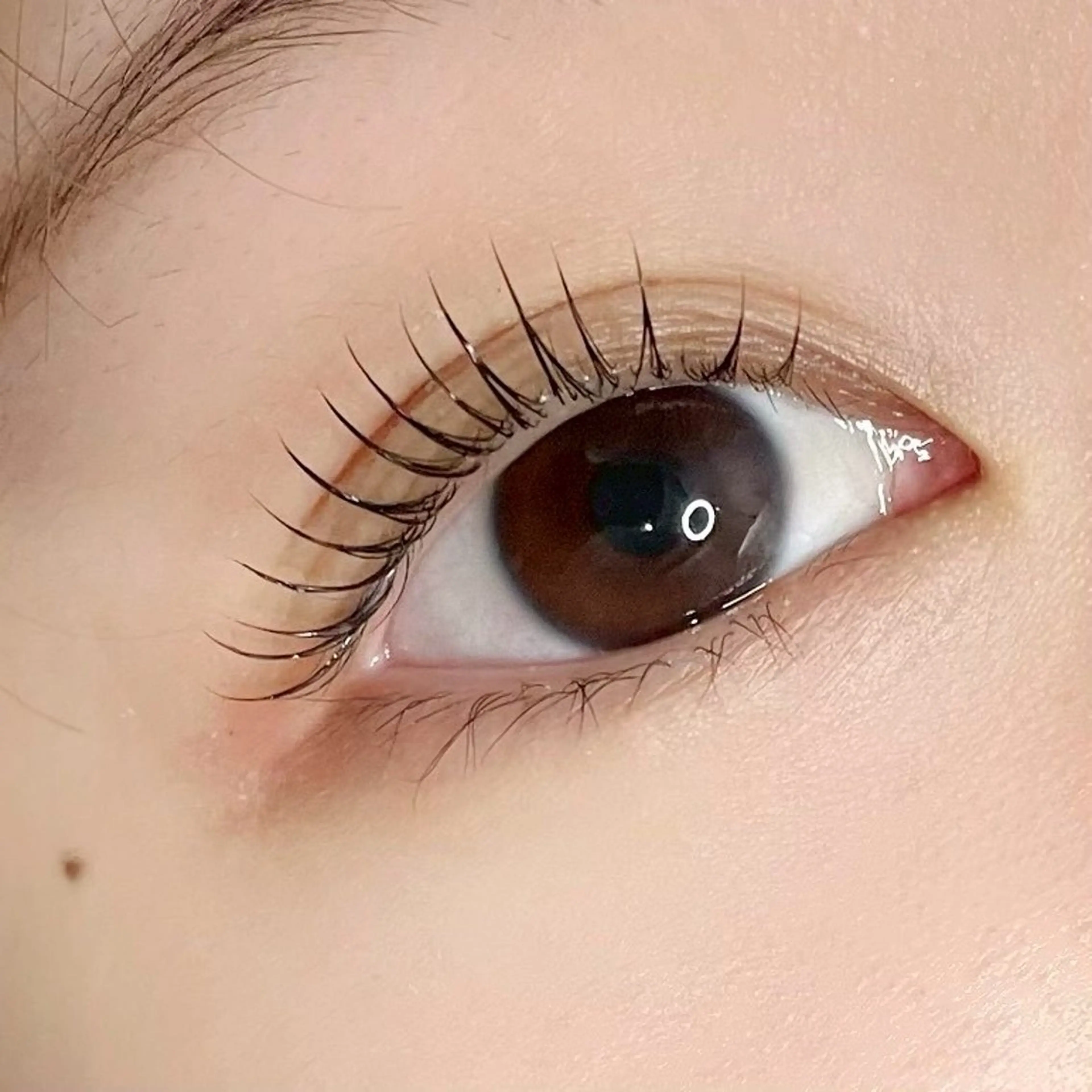 目元ケアパック付★似合わせまつげパーマ 4400円の写真