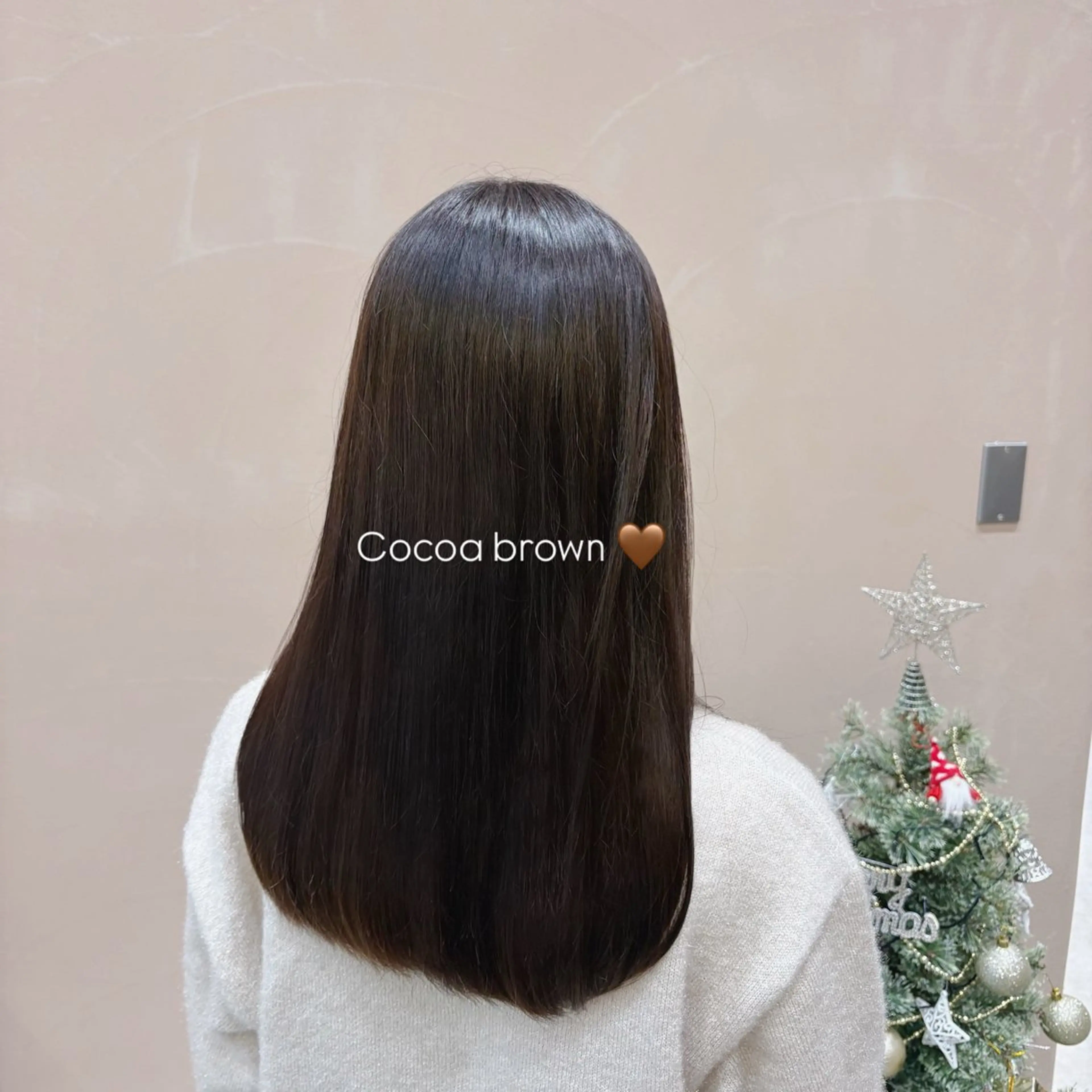 セミロング カラー ヘアアレンジ 🐰あみ【艶カラー/ 縮毛矯正】🫧のヘアスタイル