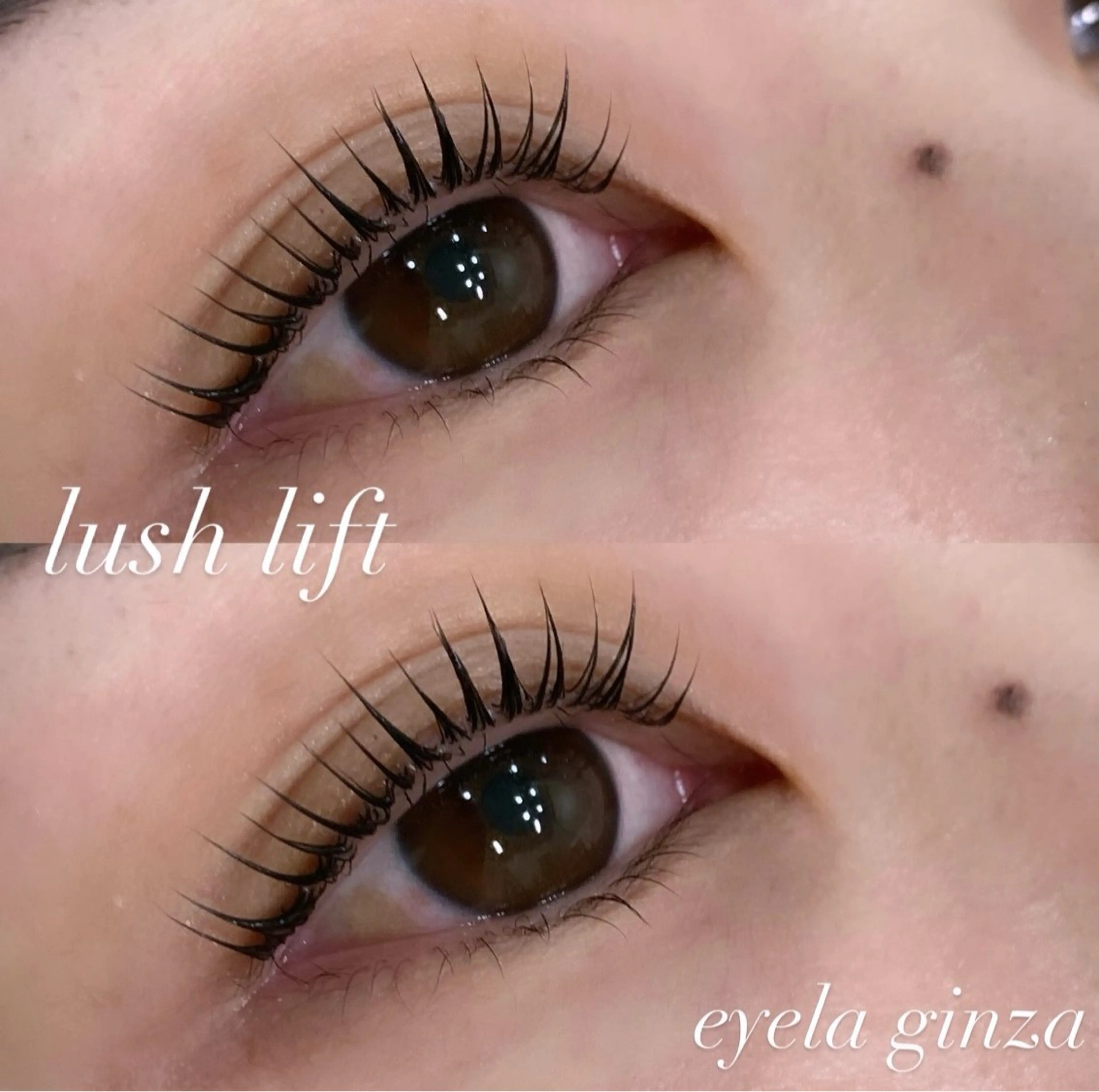 マツエク・マツパ まつげパーマ EYELA maho 銀座のマツエク・マツパデザイン