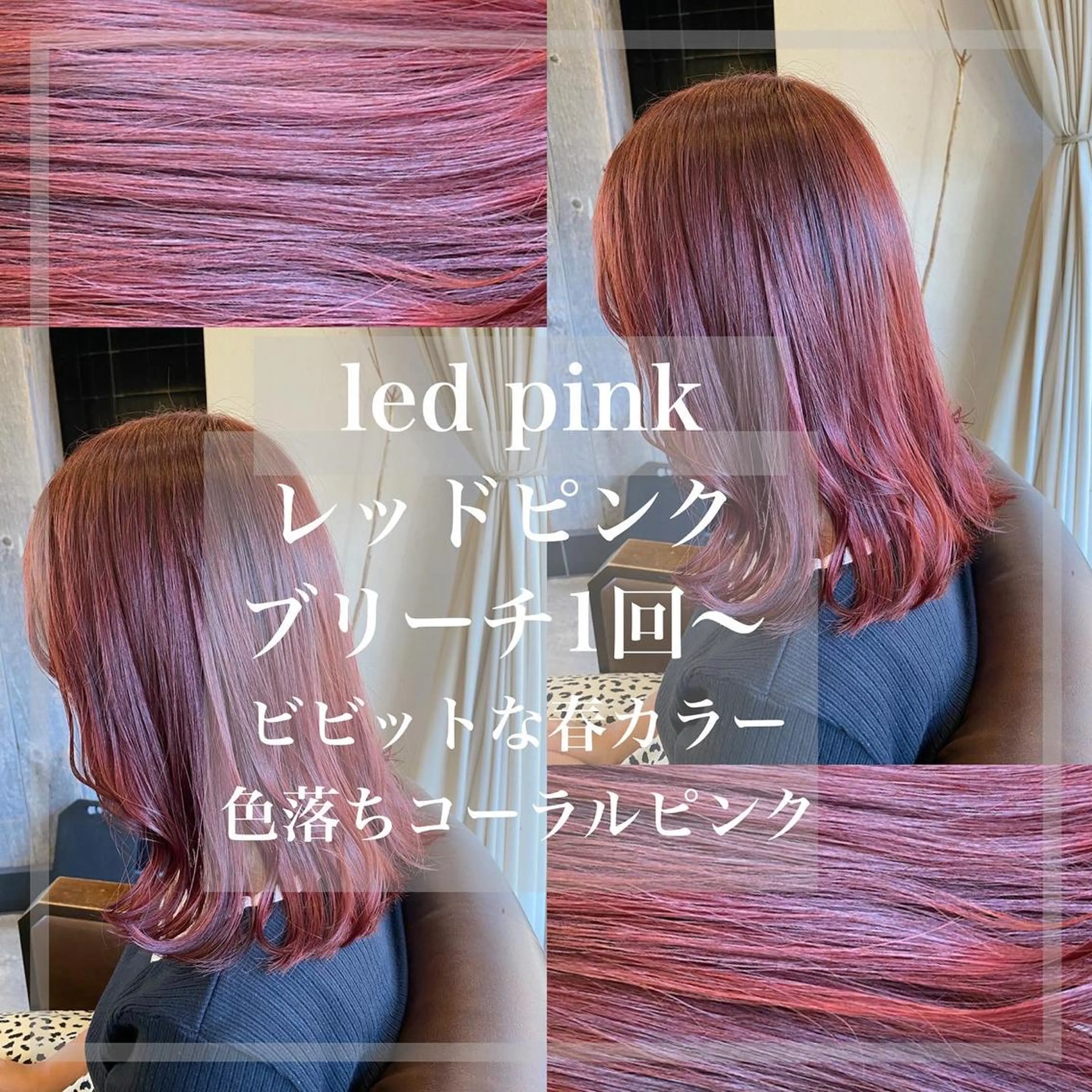 ミディアム カラー ブリーチ ピンクカラー レッドカラー ヘアカラー トリートメント 🟢NEGi🟣 🫧髪質改善のヘアスタイル