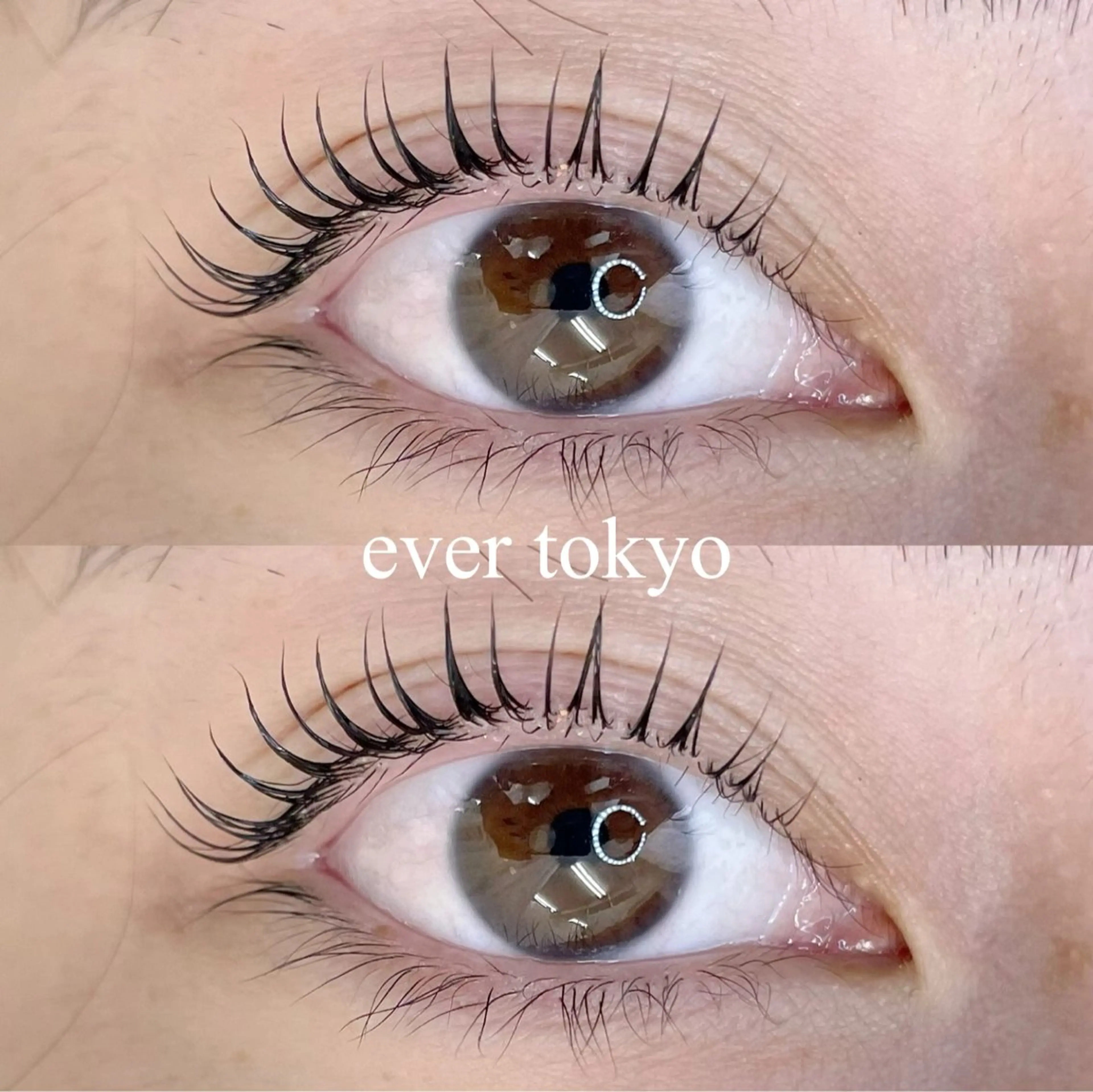 マツエク・マツパ Dカール alicetokyo 天神店のマツエク・マツパデザイン