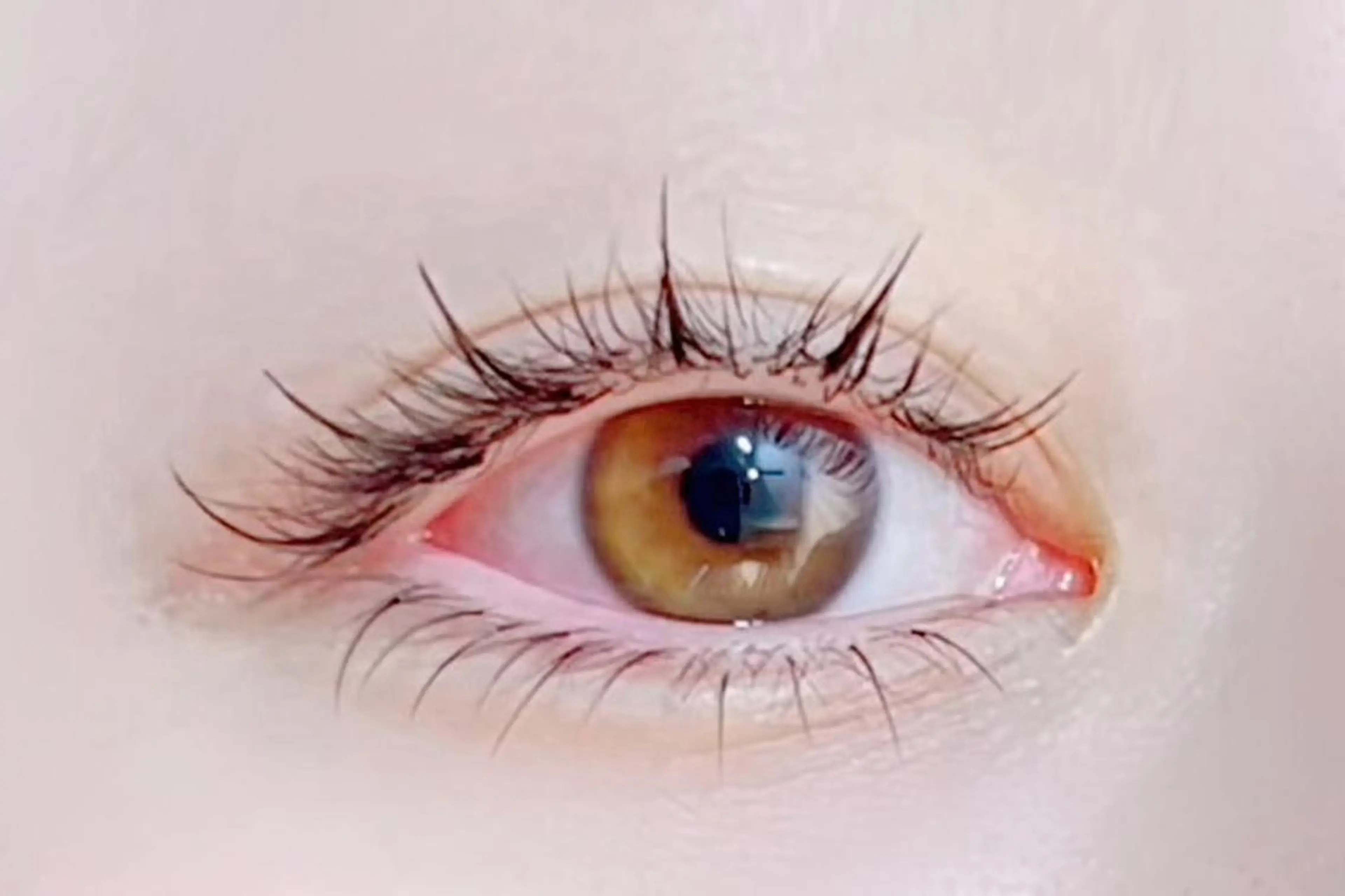 【1か月以内再来】本数選べる★フラット/ワンホン+アップワード40/60/80本の写真