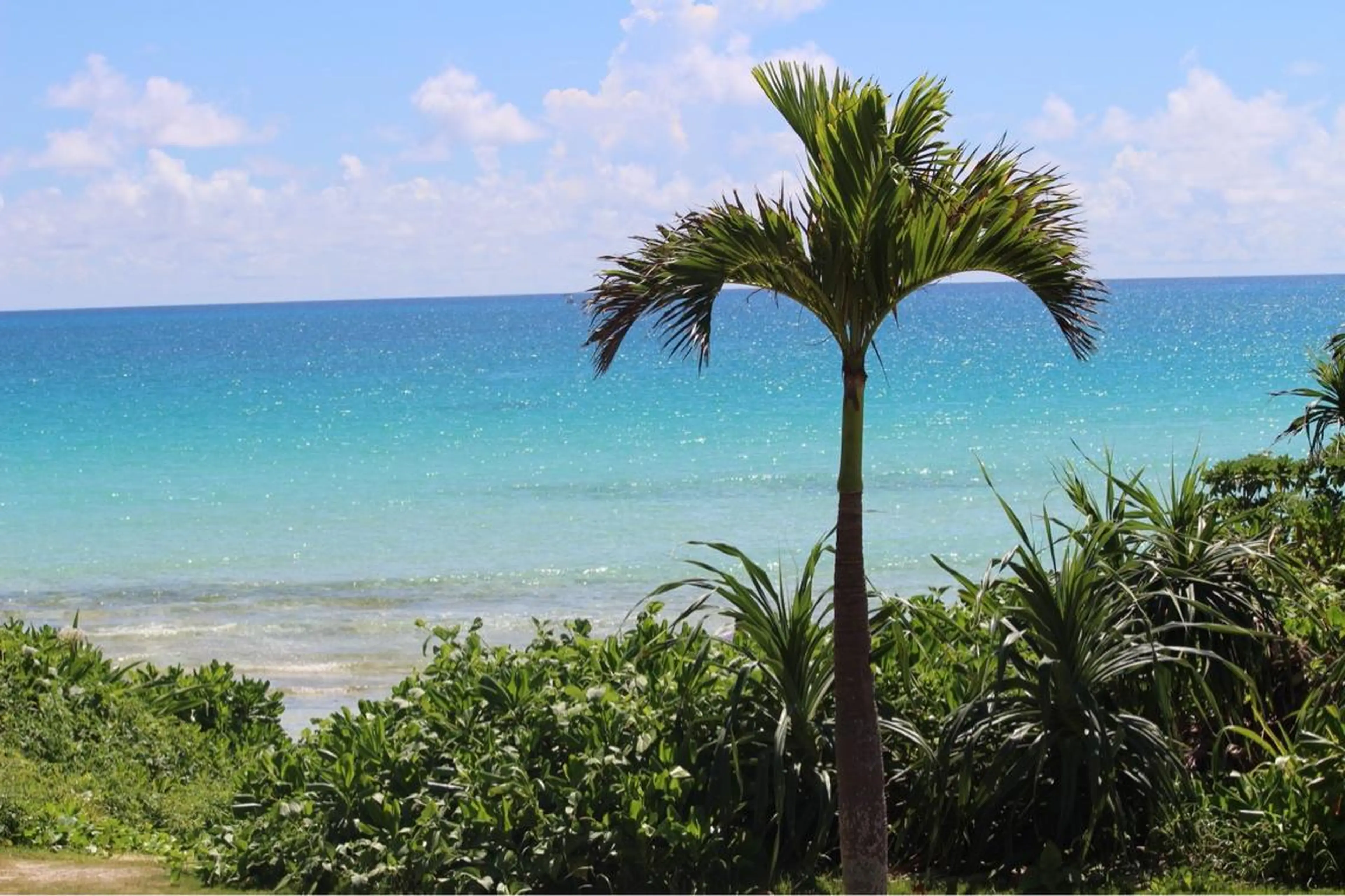 NOA 🏝🌞のマツエク・マツパデザイン