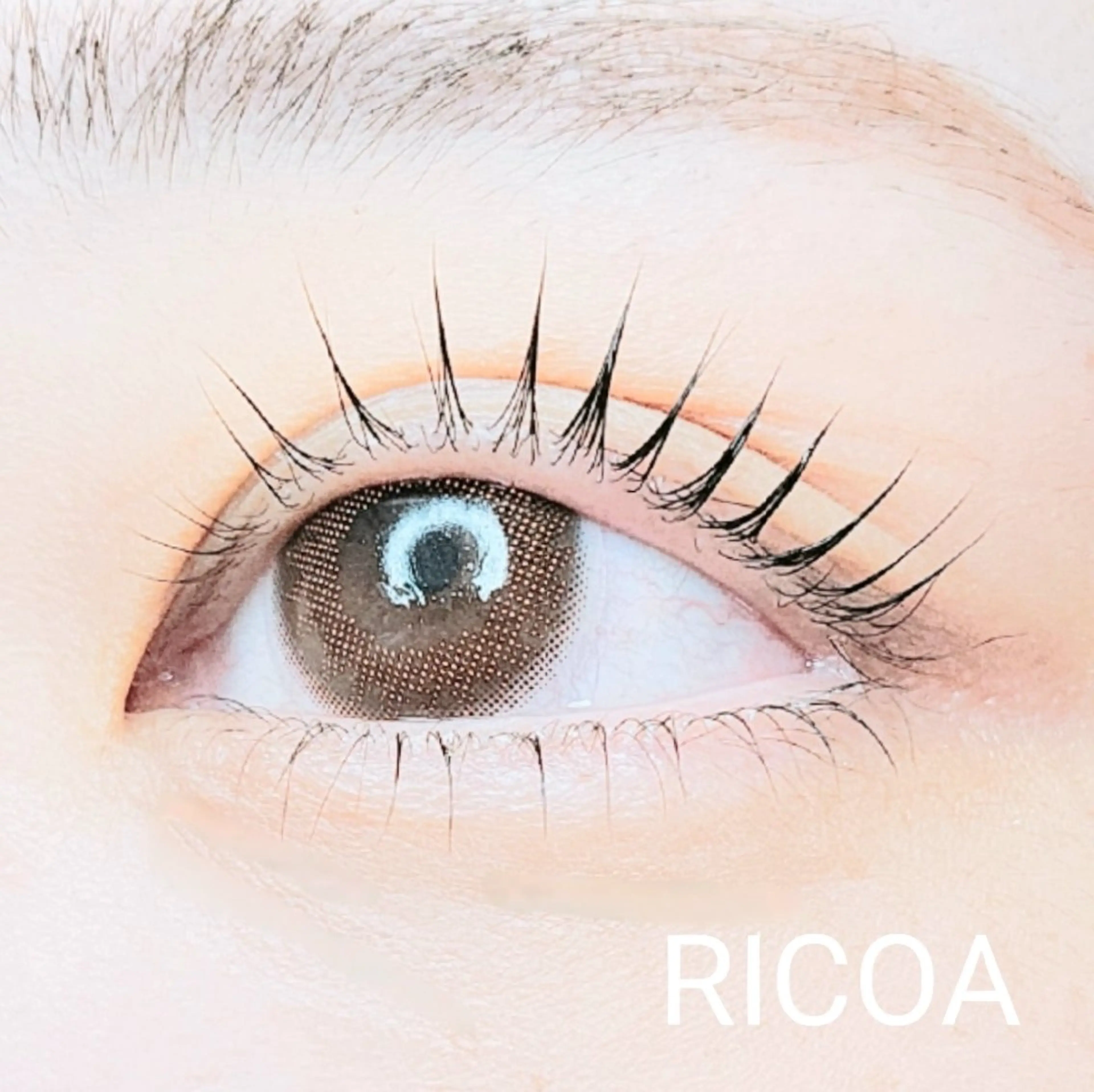 マツエク・マツパ 下まつげエクステ 一重×まつ毛パーマ マツパ RICOA 酒井のマツエク・マツパデザイン