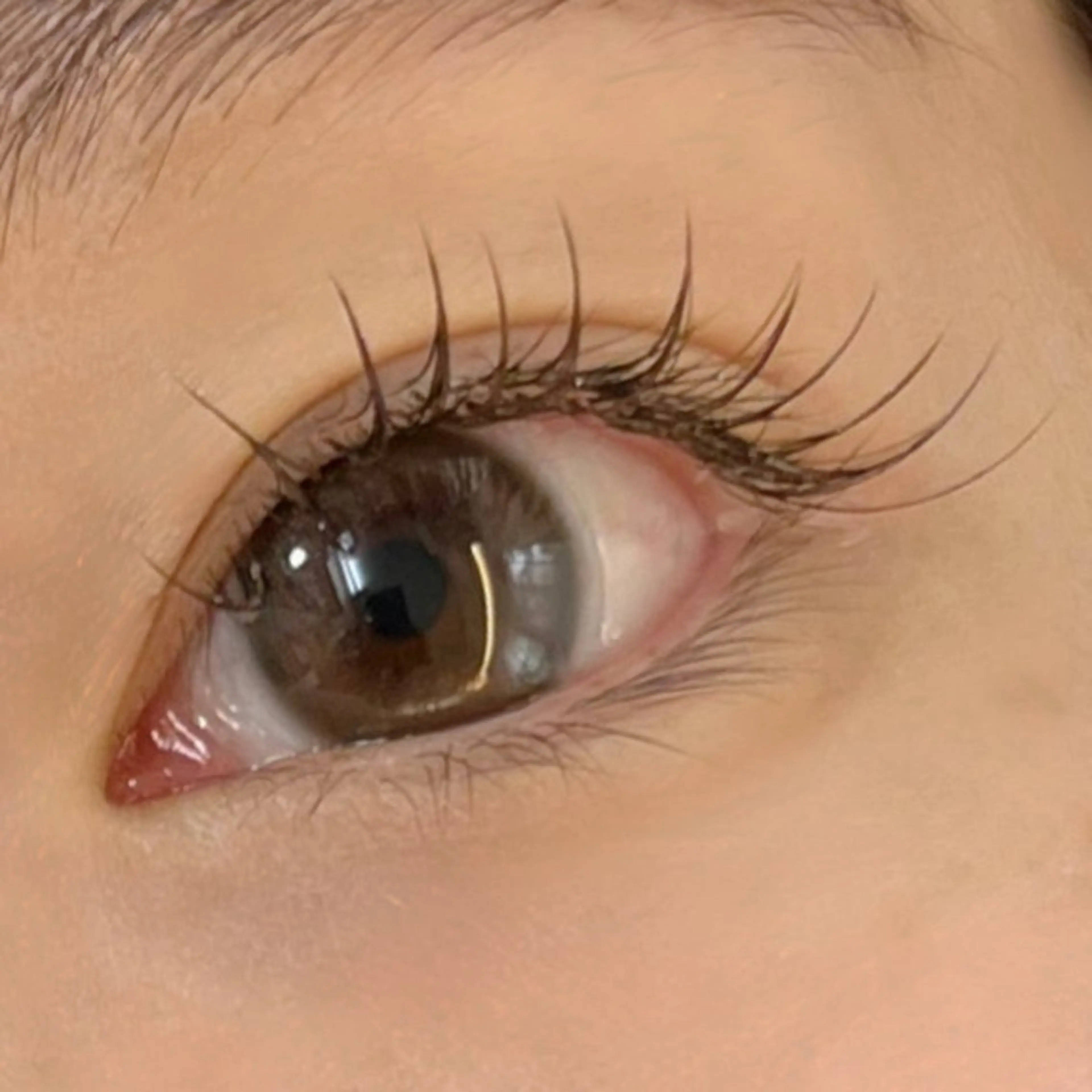 マツエク・マツパ カラーマツエク Trinity eyelashのマツエク・マツパデザイン