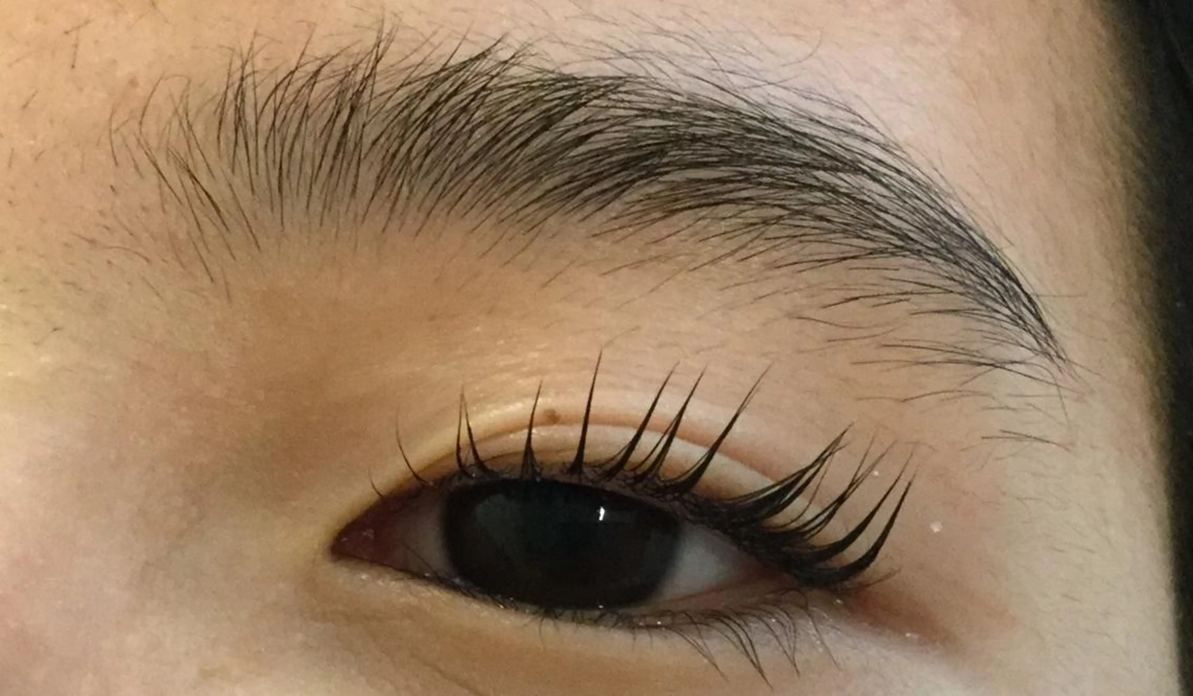 マツエク・マツパ パリジェンヌラッシュリフト Kalon Irisのマツエク・マツパデザイン