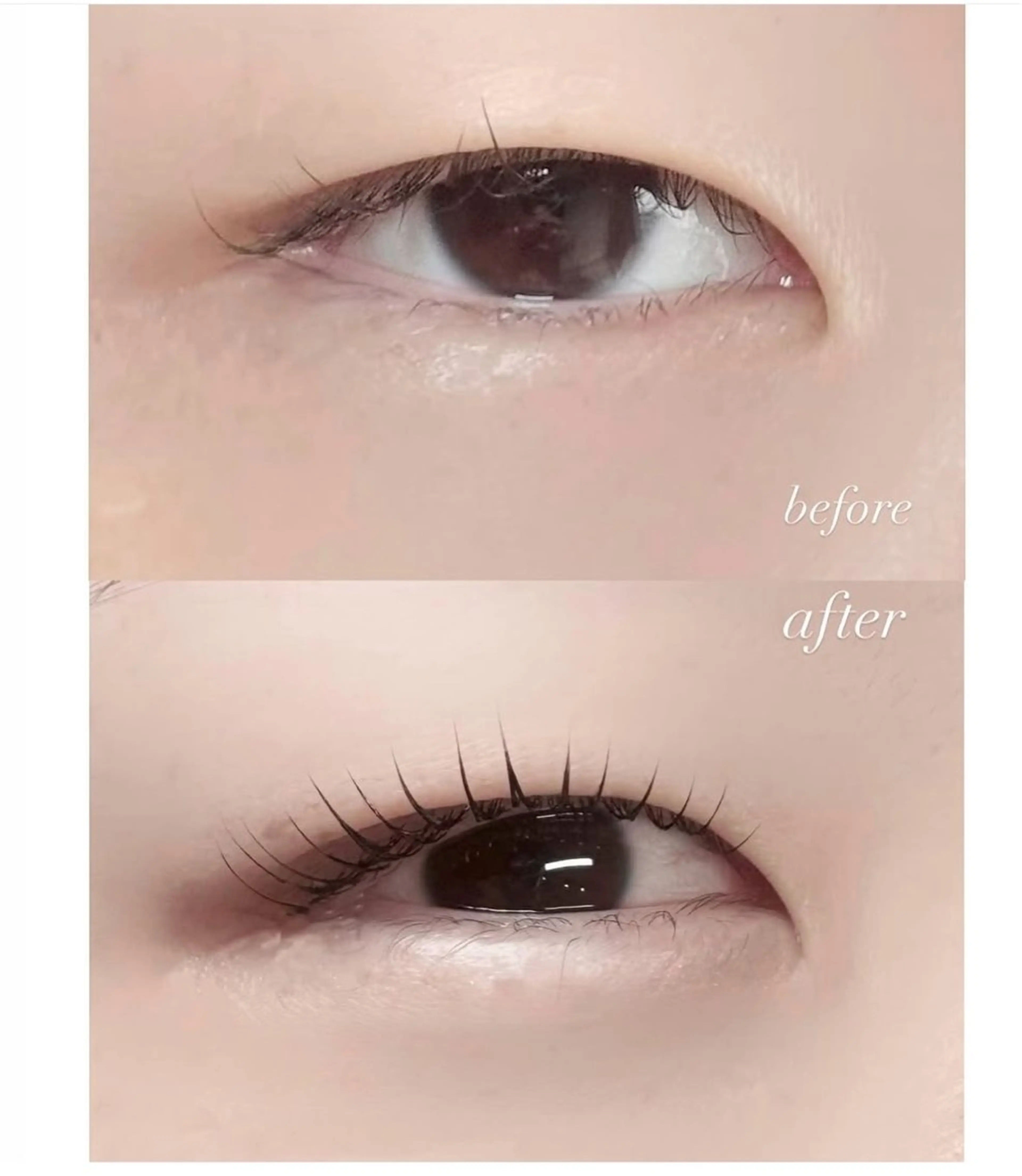 マツエク・マツパ My Beauty 箕輪店のマツエク・マツパデザイン