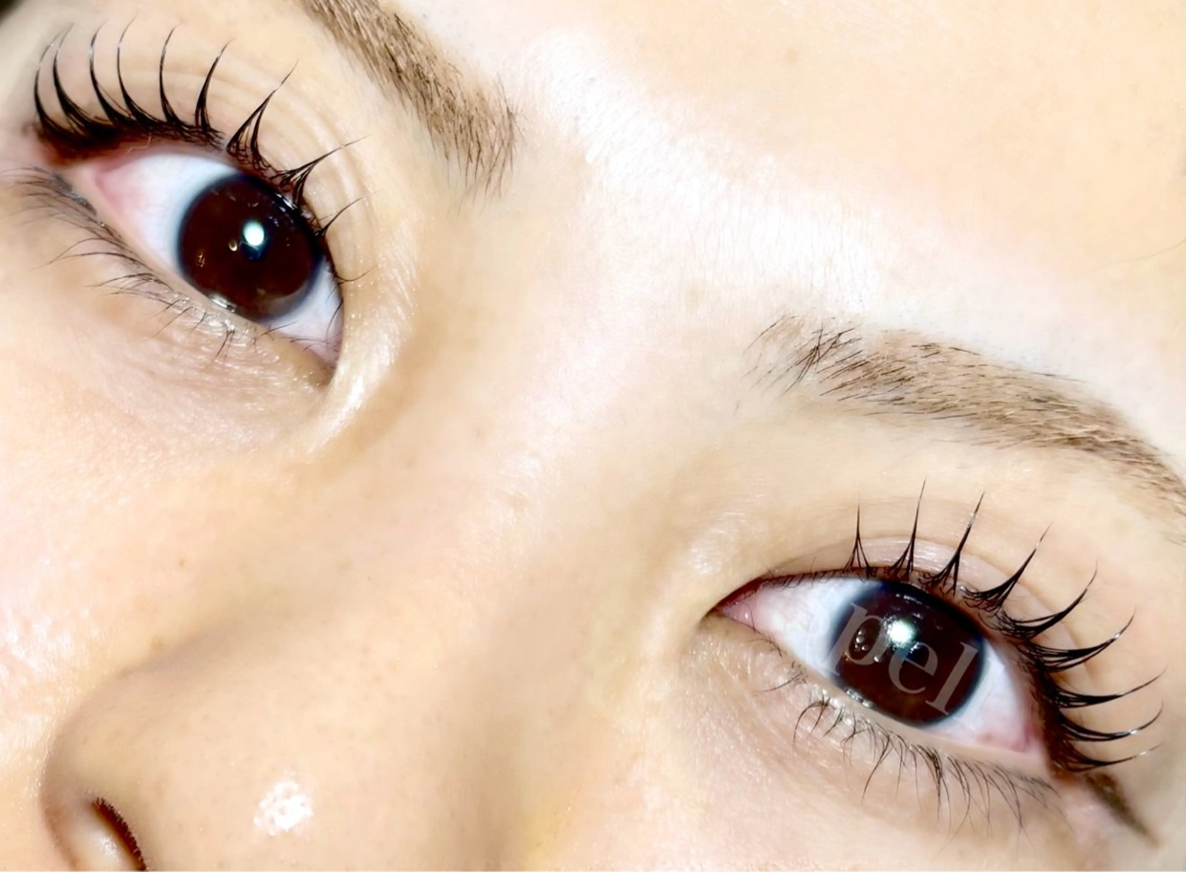 マツエク・マツパ マツパ spell_eyelash所属・spell eyelashのマツエク・マツパデザイン