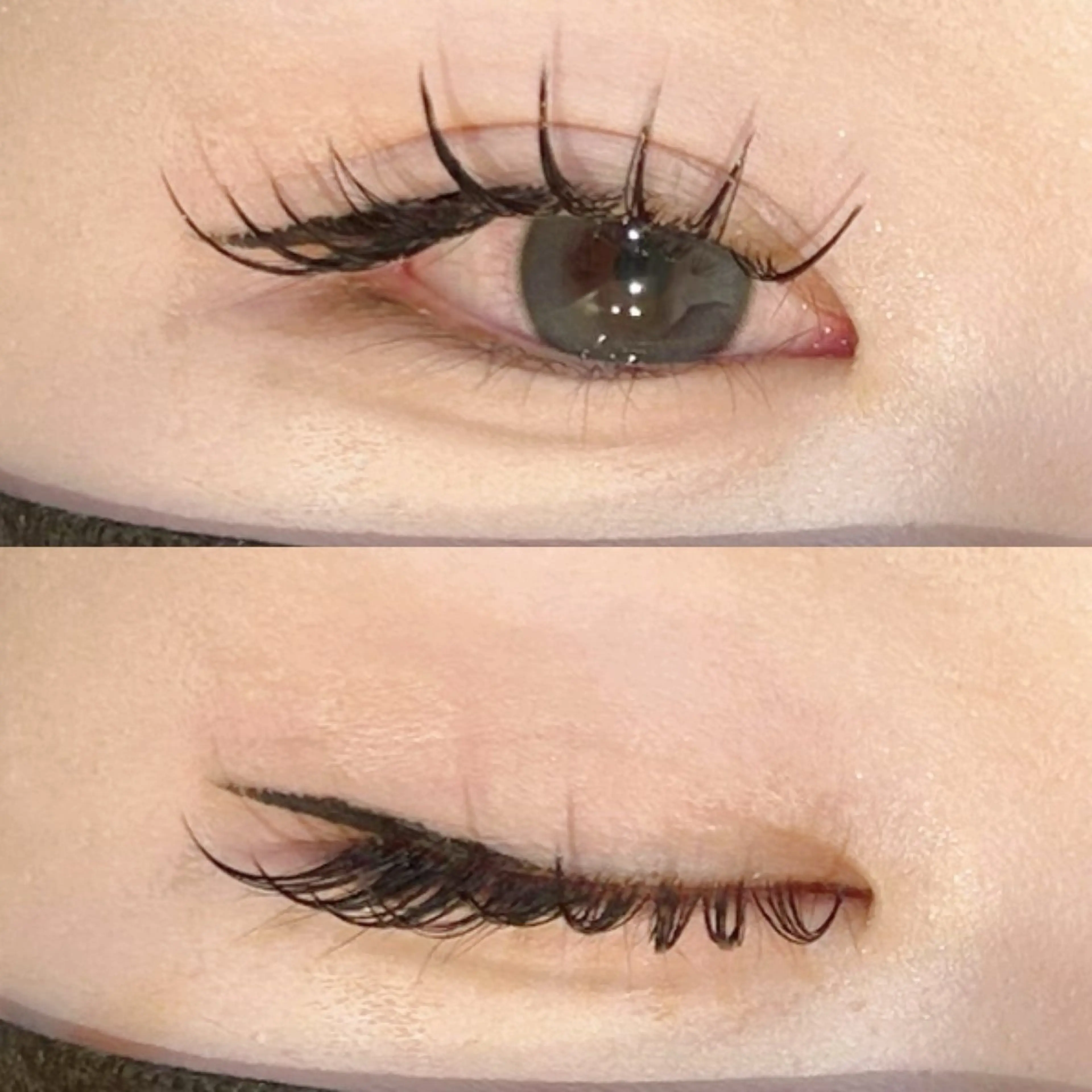 マツエク最大100本🪄の写真