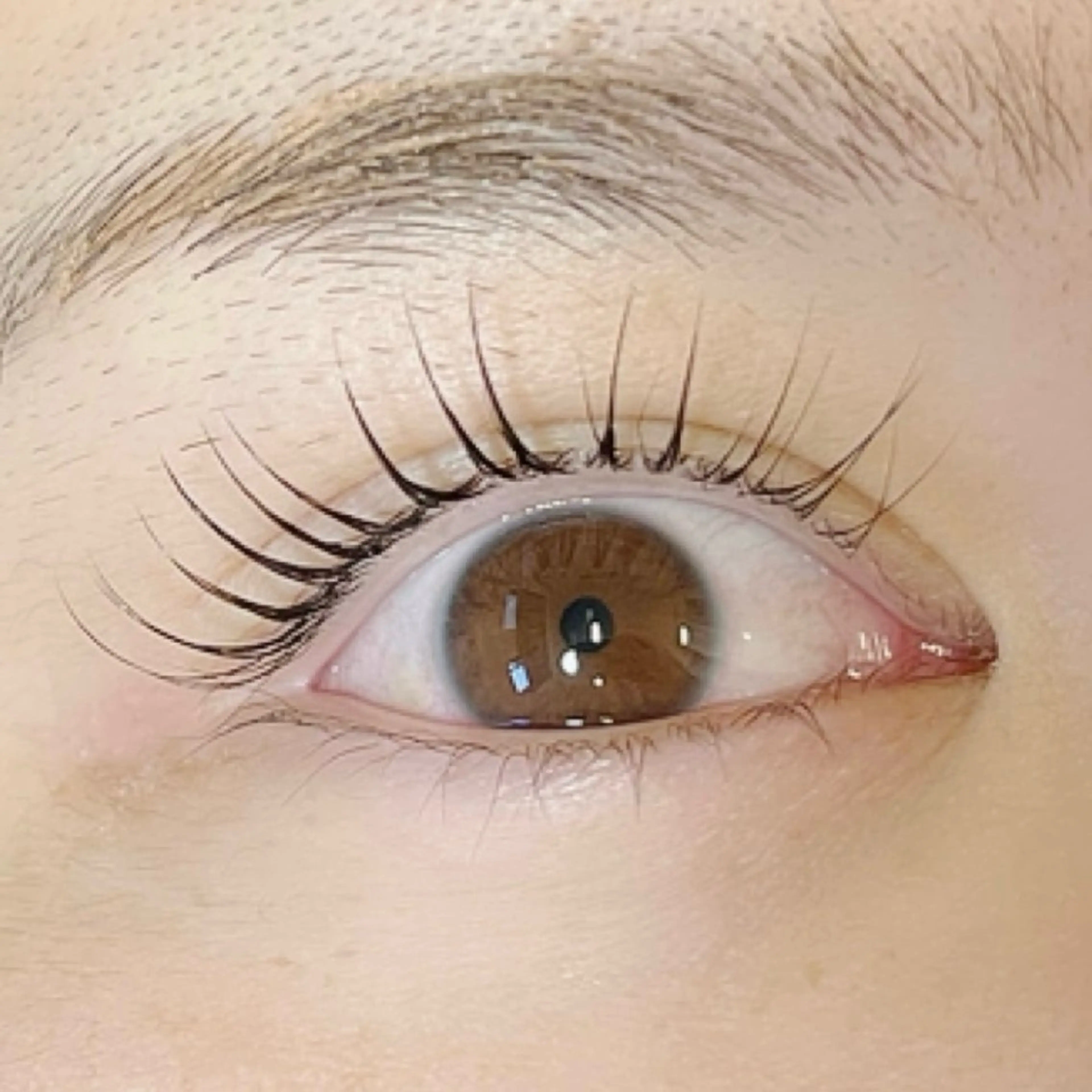 マツエク・マツパ マツエク toiro所属・toiro 鎌取のマツエク・マツパデザイン