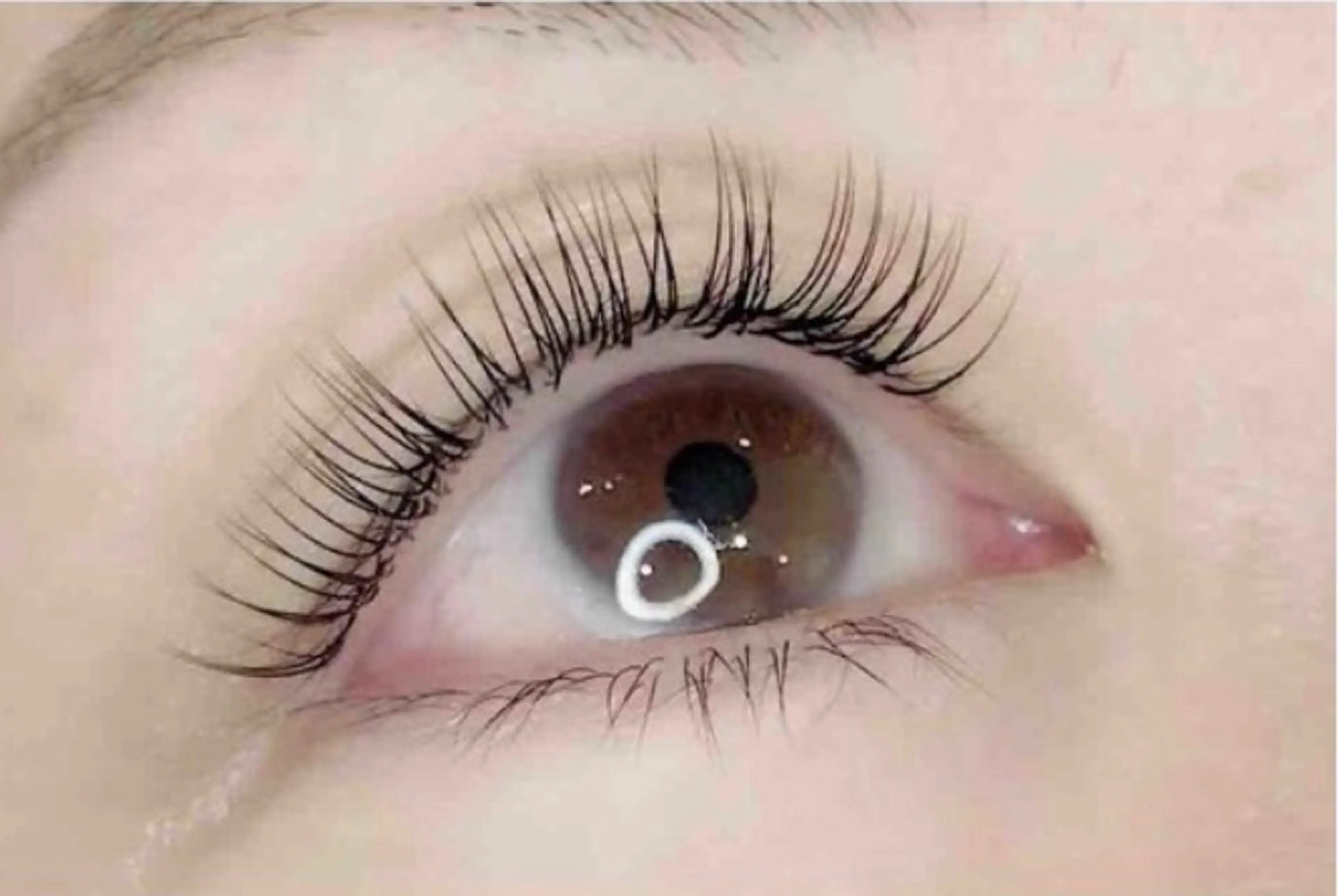 🥀オフなし🥀《無料》マツエクモデル100​〜​120本🫧※所要時間60分前後いただきます🙇‍♀️の写真