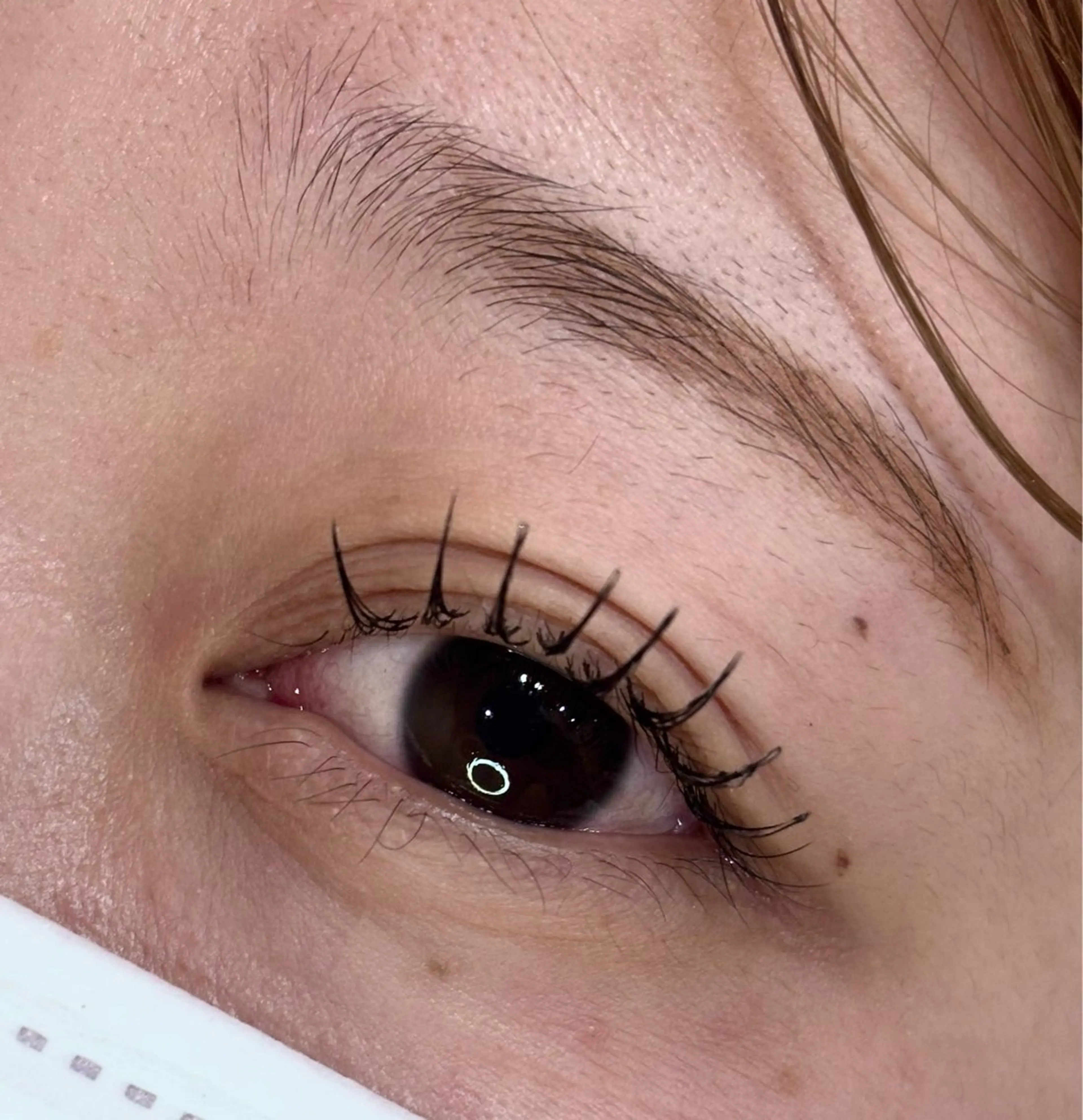 マツエク・マツパ Sisterby B ひまわりの眉毛・アイブロウイメージ