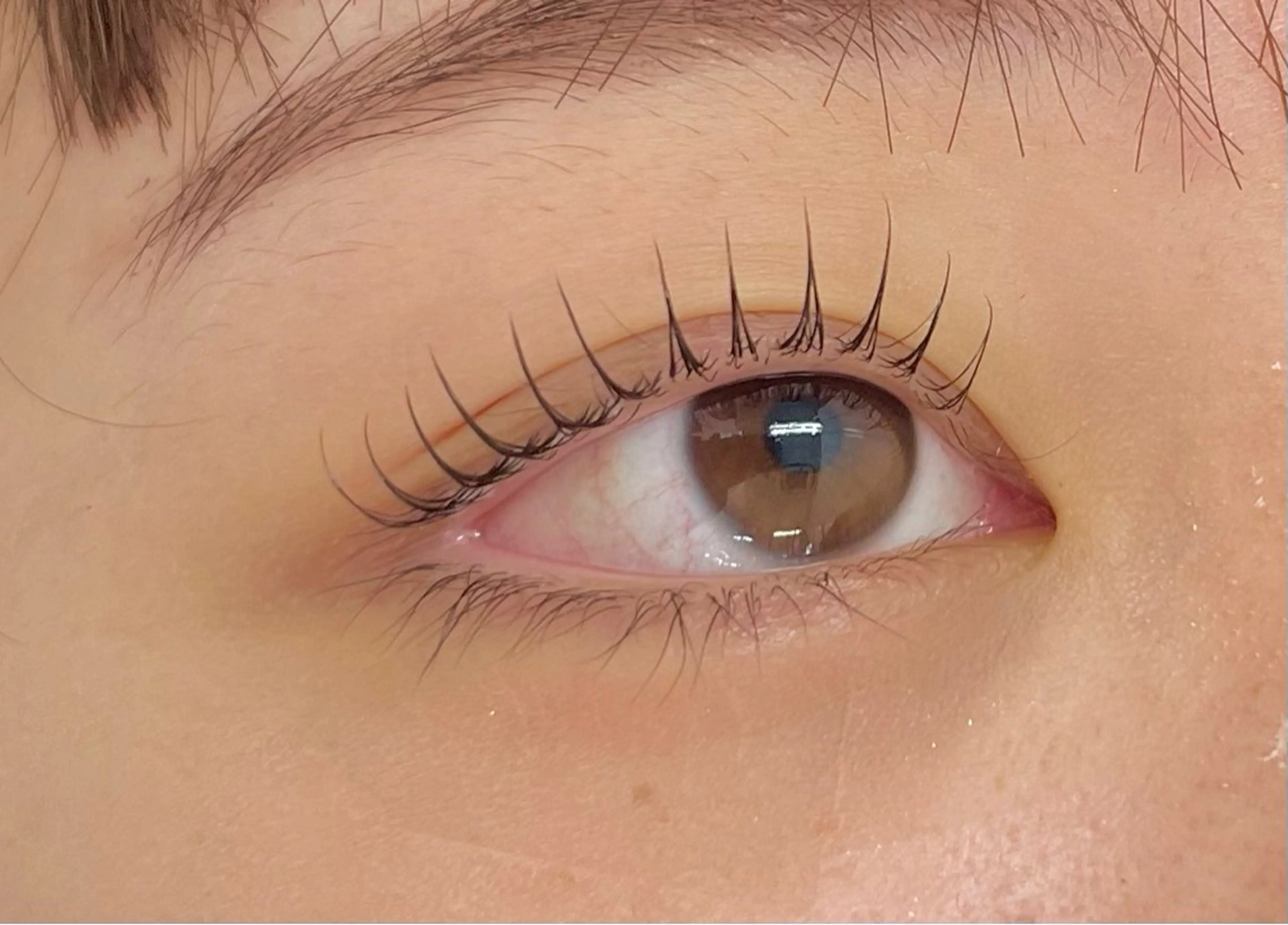 平日限定🌟まつ毛パーマ+TR🌟の写真