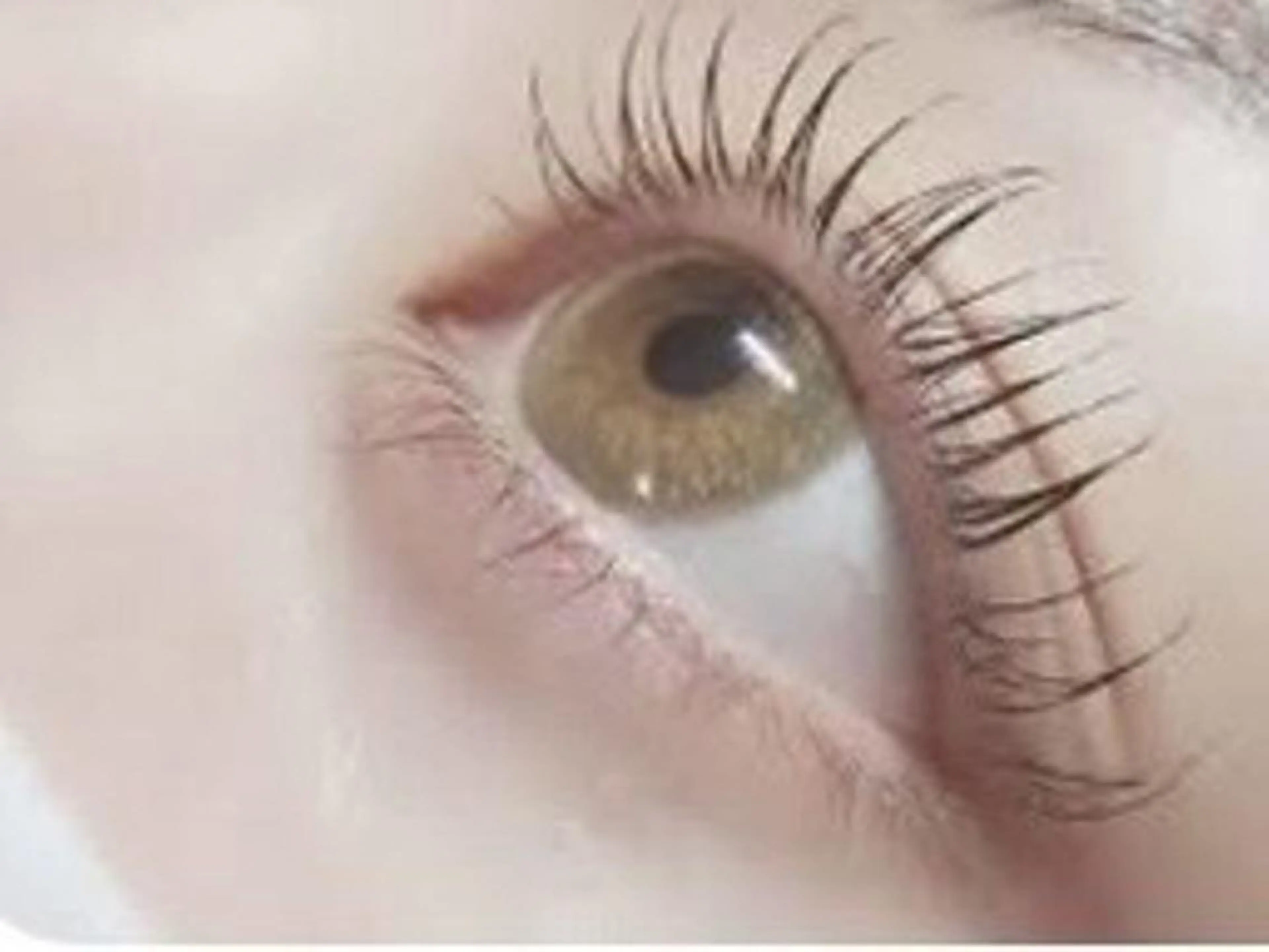 マツエク・マツパ favori名古屋 荻原のマツエク・マツパデザイン