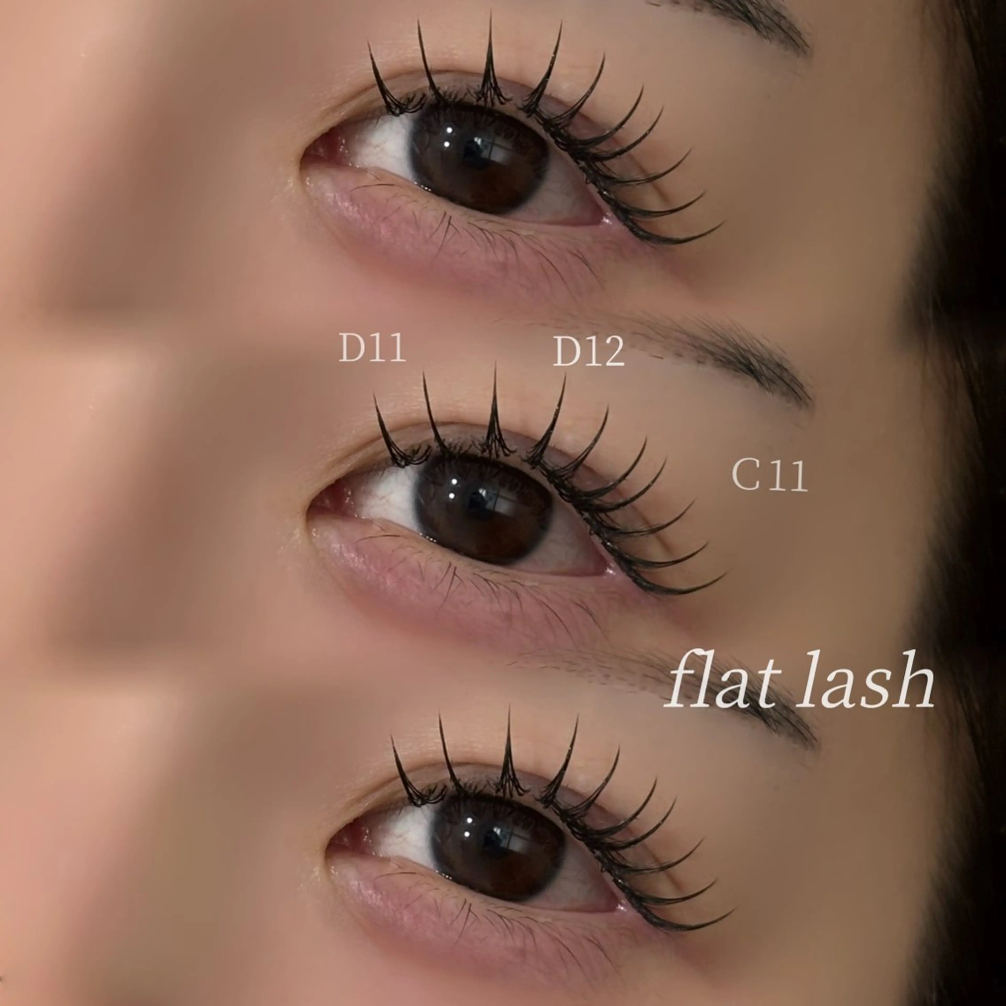【🤎フラットマットラッシュ100本🤎】の写真