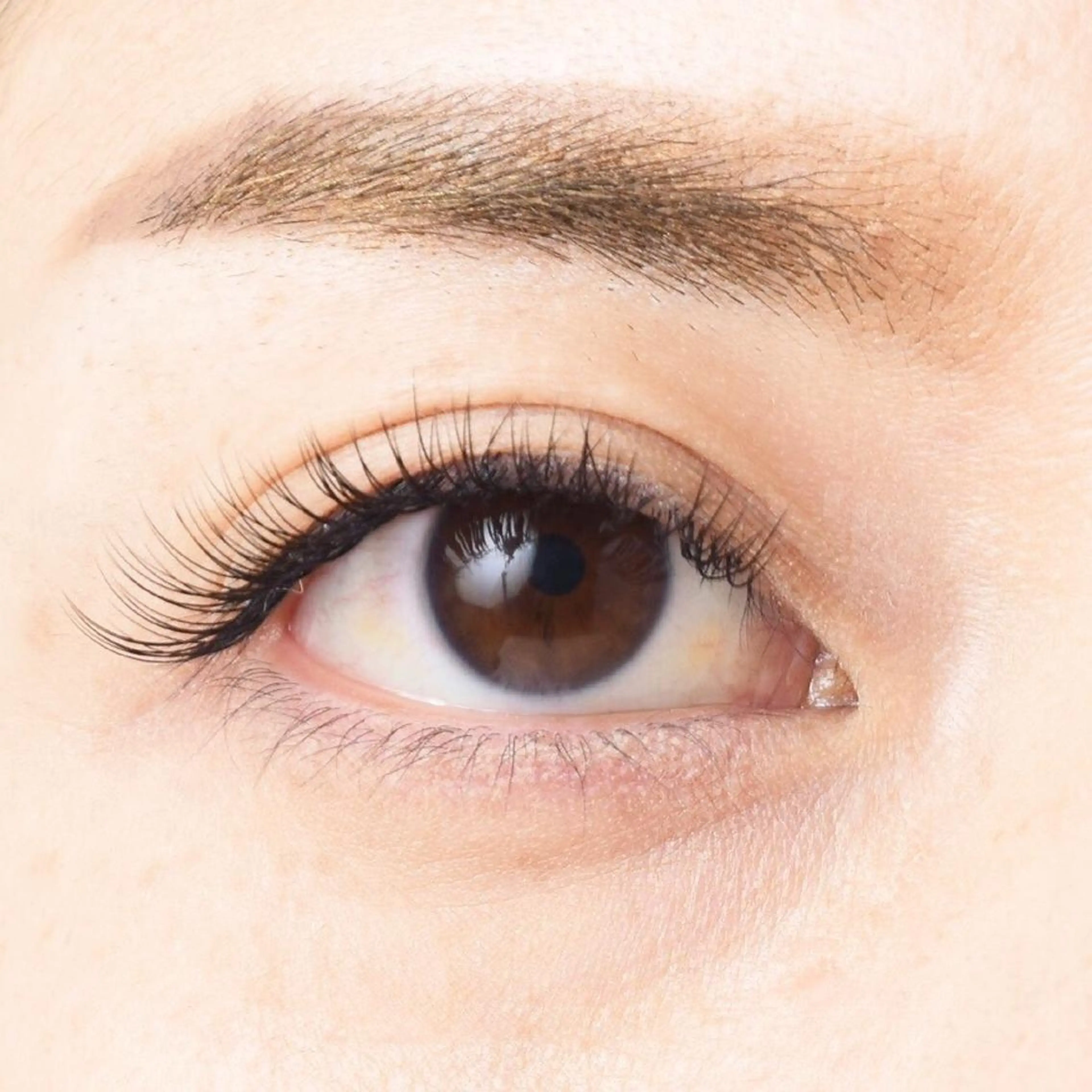 マツエク・マツパ 【芦屋店】 マツコのまつげサロンのマツエク・マツパデザイン