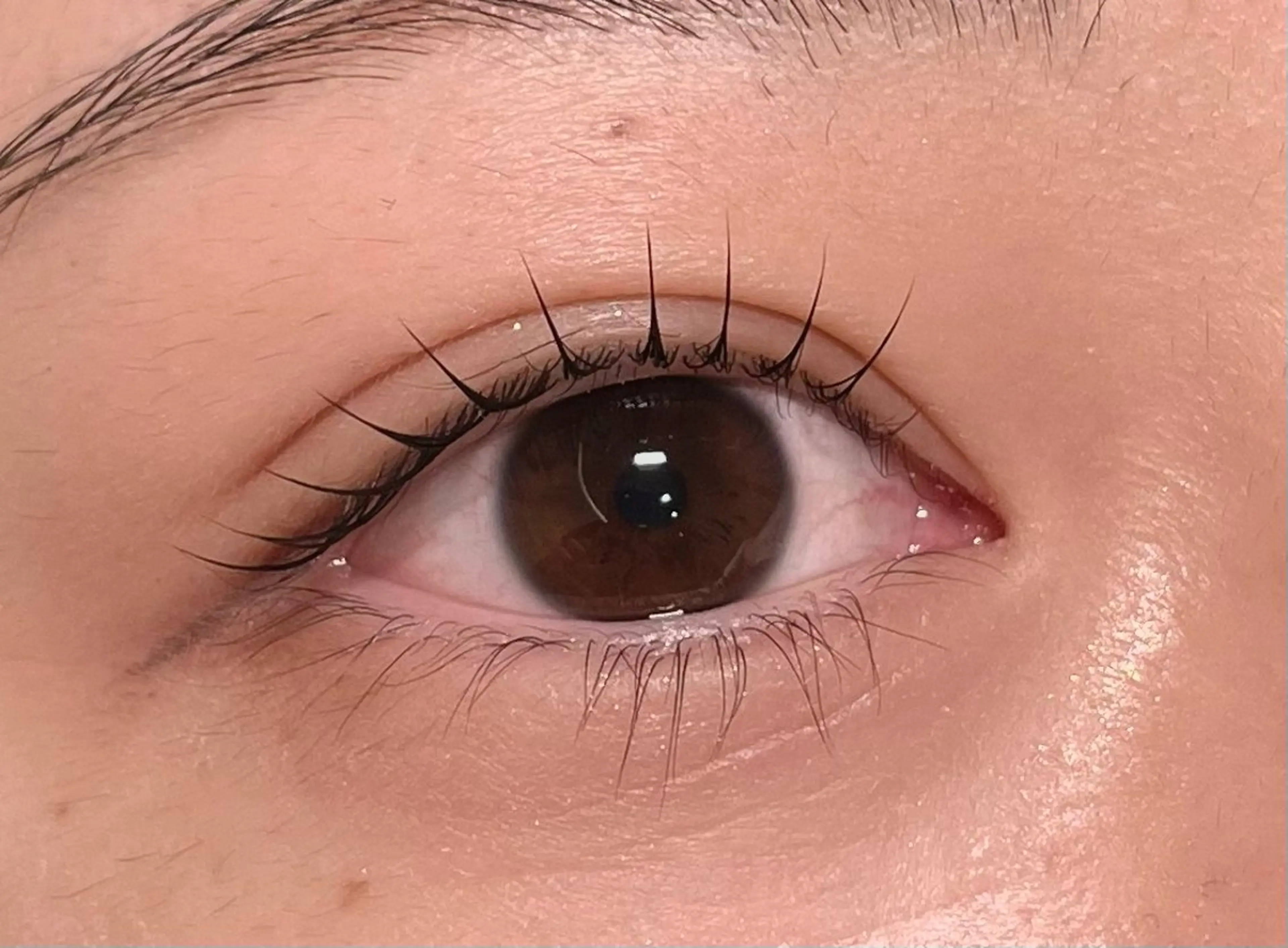 マツエク・マツパ マツパ VITAE ☆Tenのマツエク・マツパデザイン