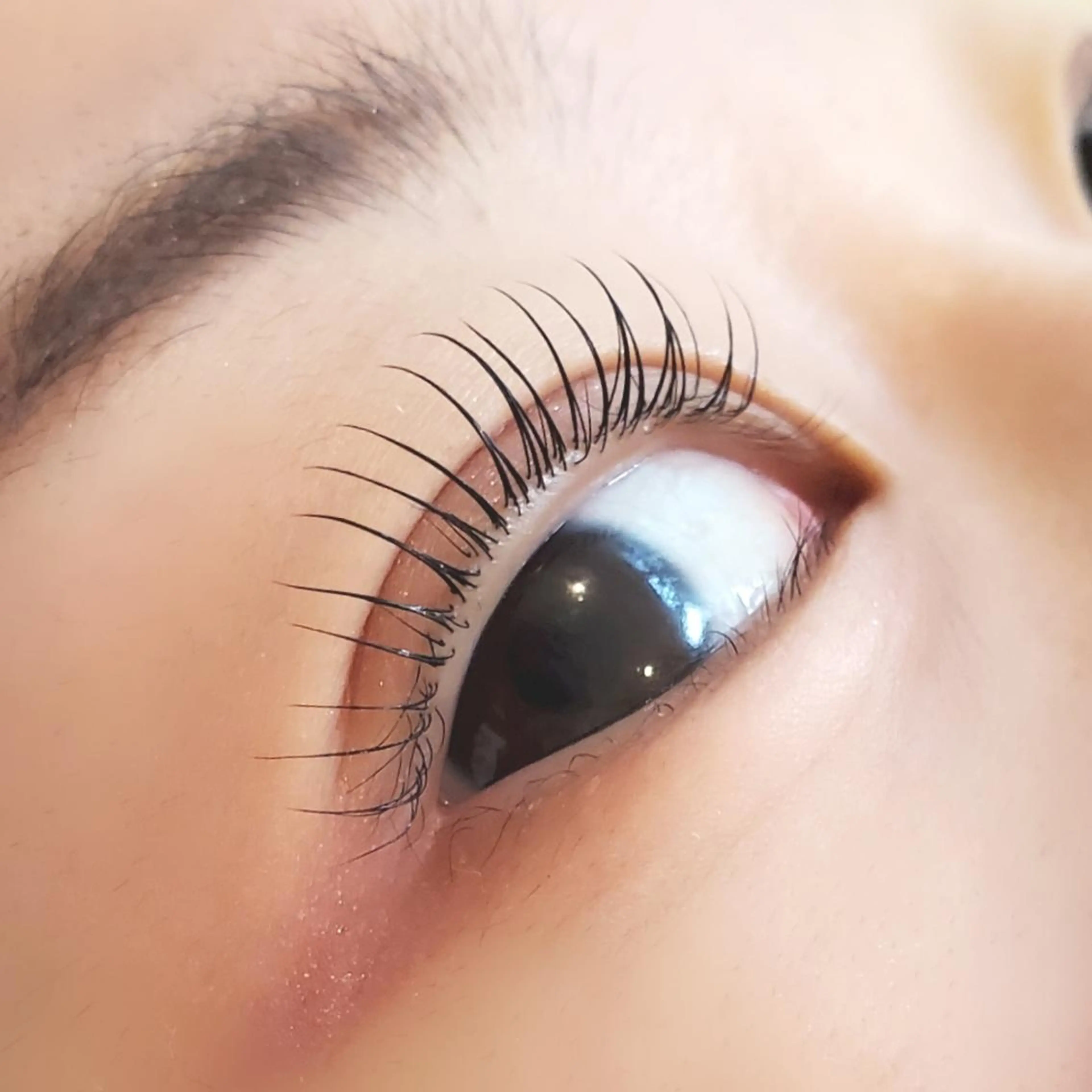 マツエク・マツパ ant_u🌷 arisaのマツエク・マツパデザイン