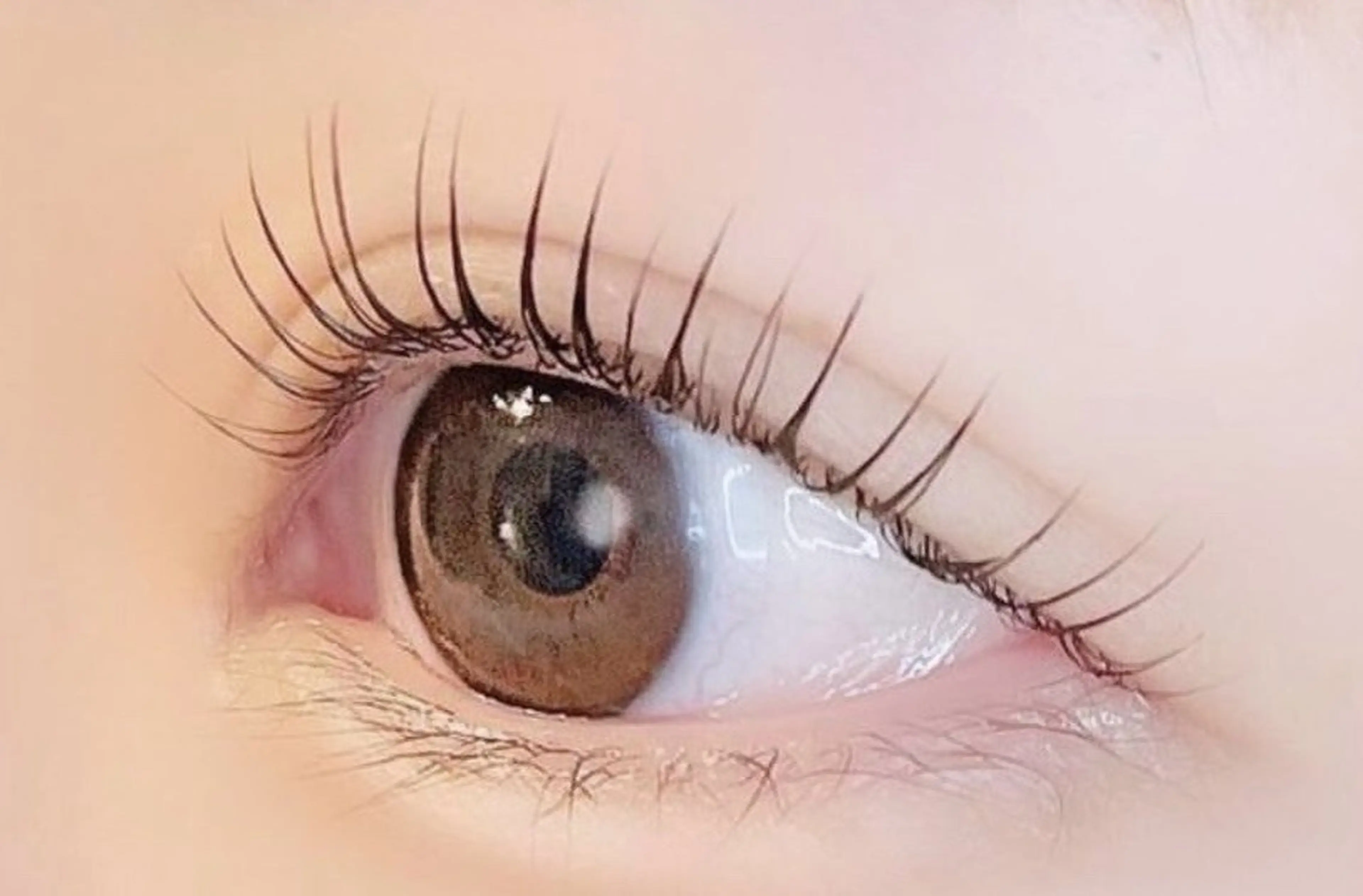 マツエク・マツパ メゾンビューティー アイラッシュのマツエク・マツパデザイン