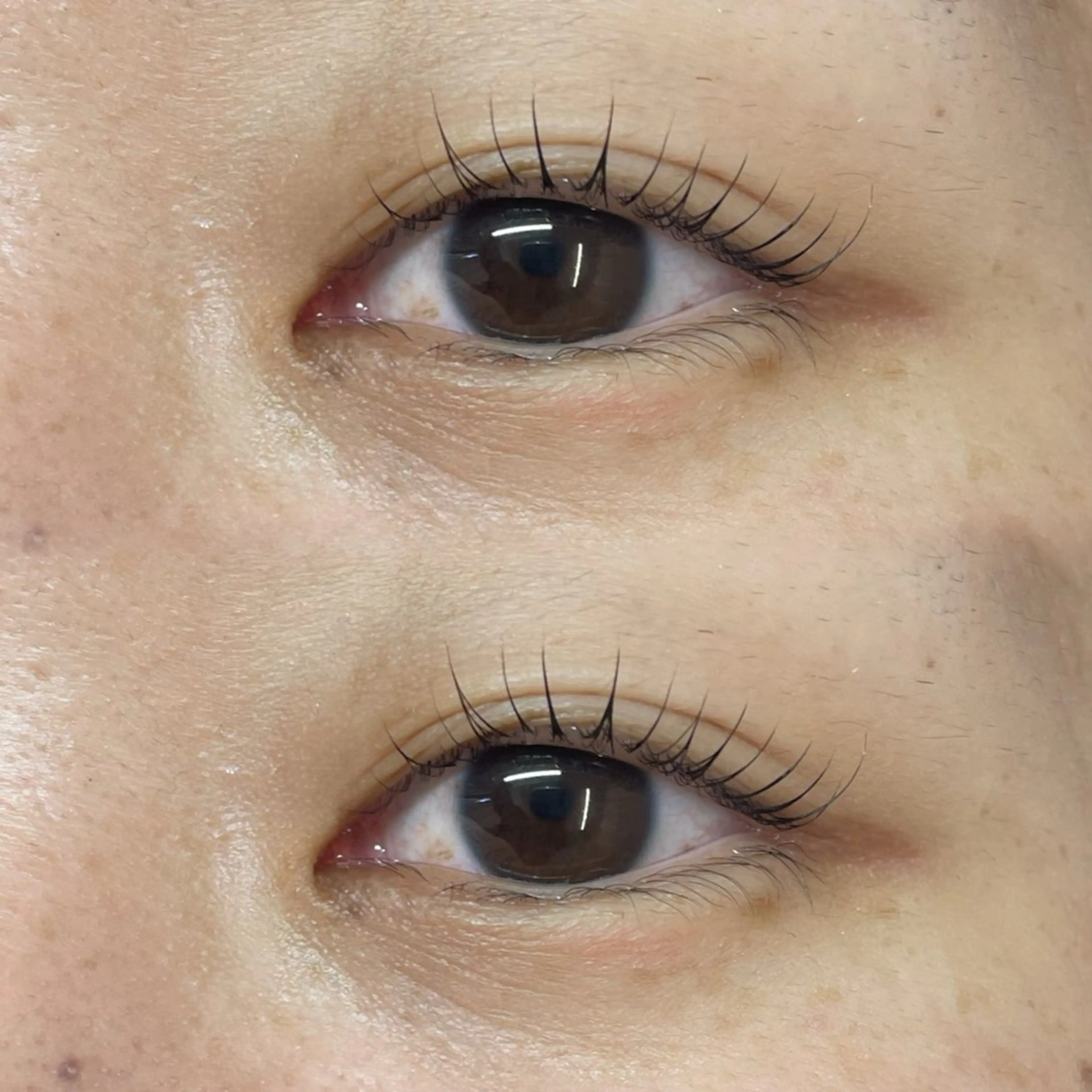 マツエク・マツパ マツパ 『垢抜け眉』 reno୨ৎʺの眉毛・アイブロウイメージ