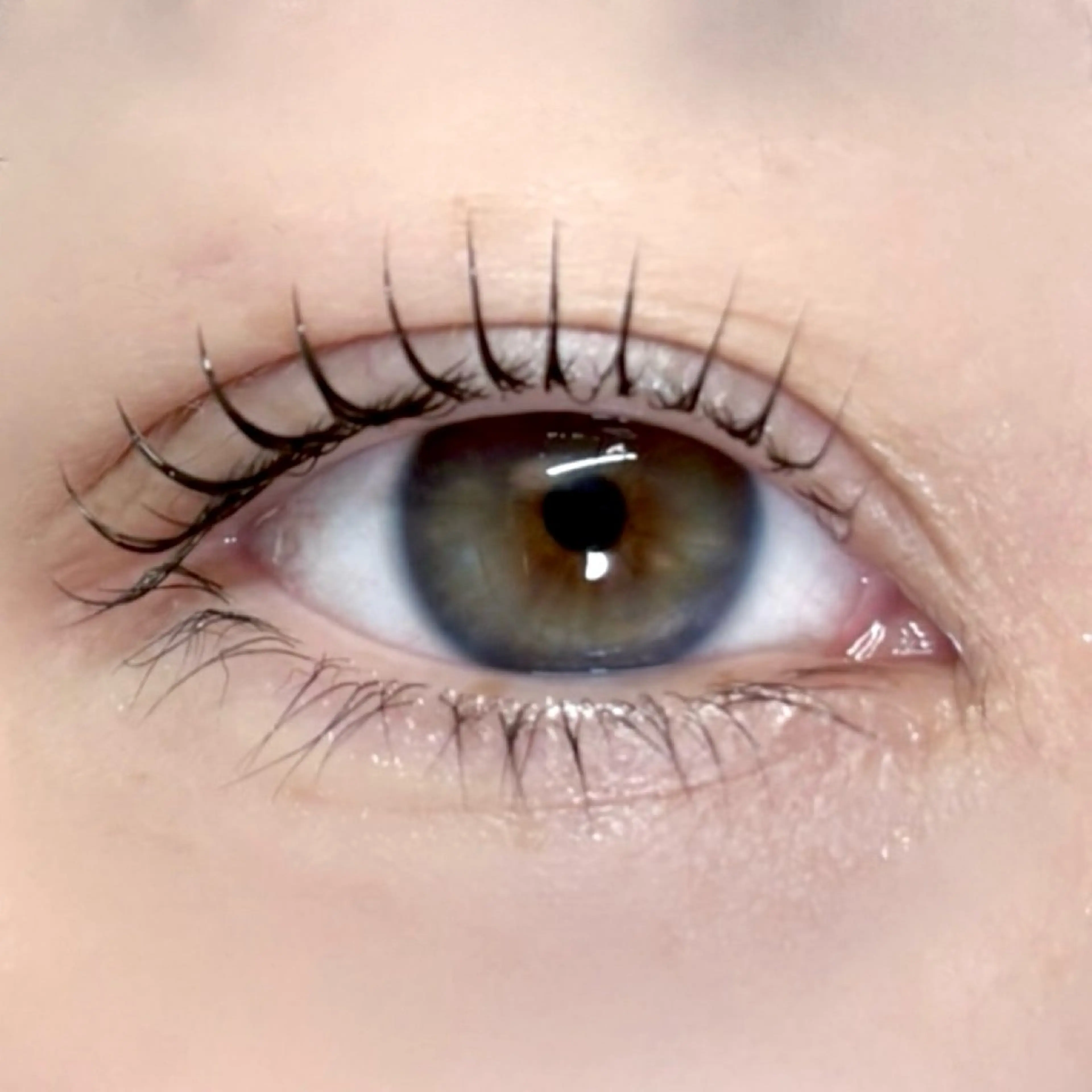 マツエク・マツパ マツパ 韓国式まつぱ💕/ 束間まつげ/runaのマツエク・マツパデザイン