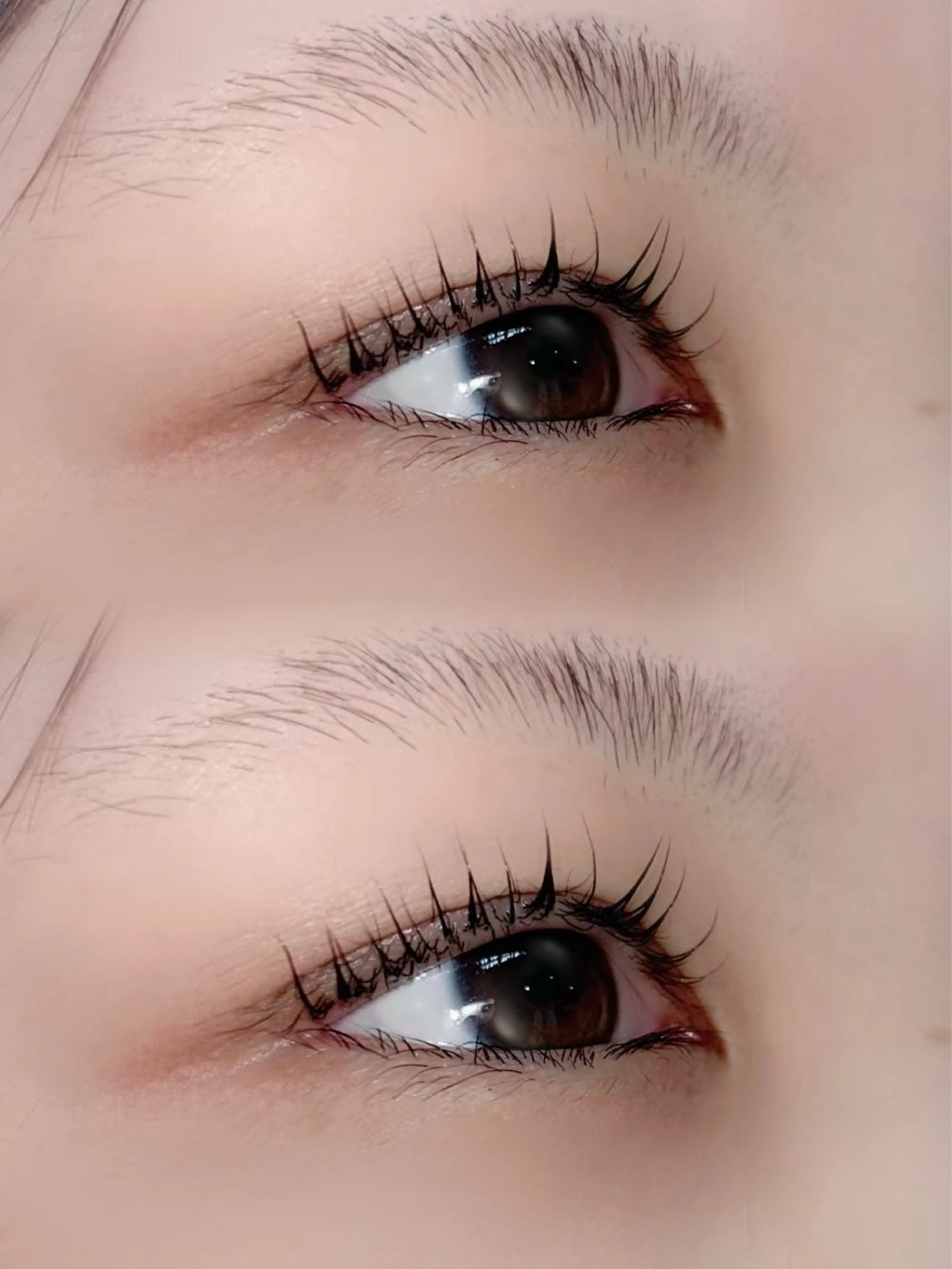 マツエク・マツパ ANCIL店 みいだ🧸🍯のマツエク・マツパデザイン