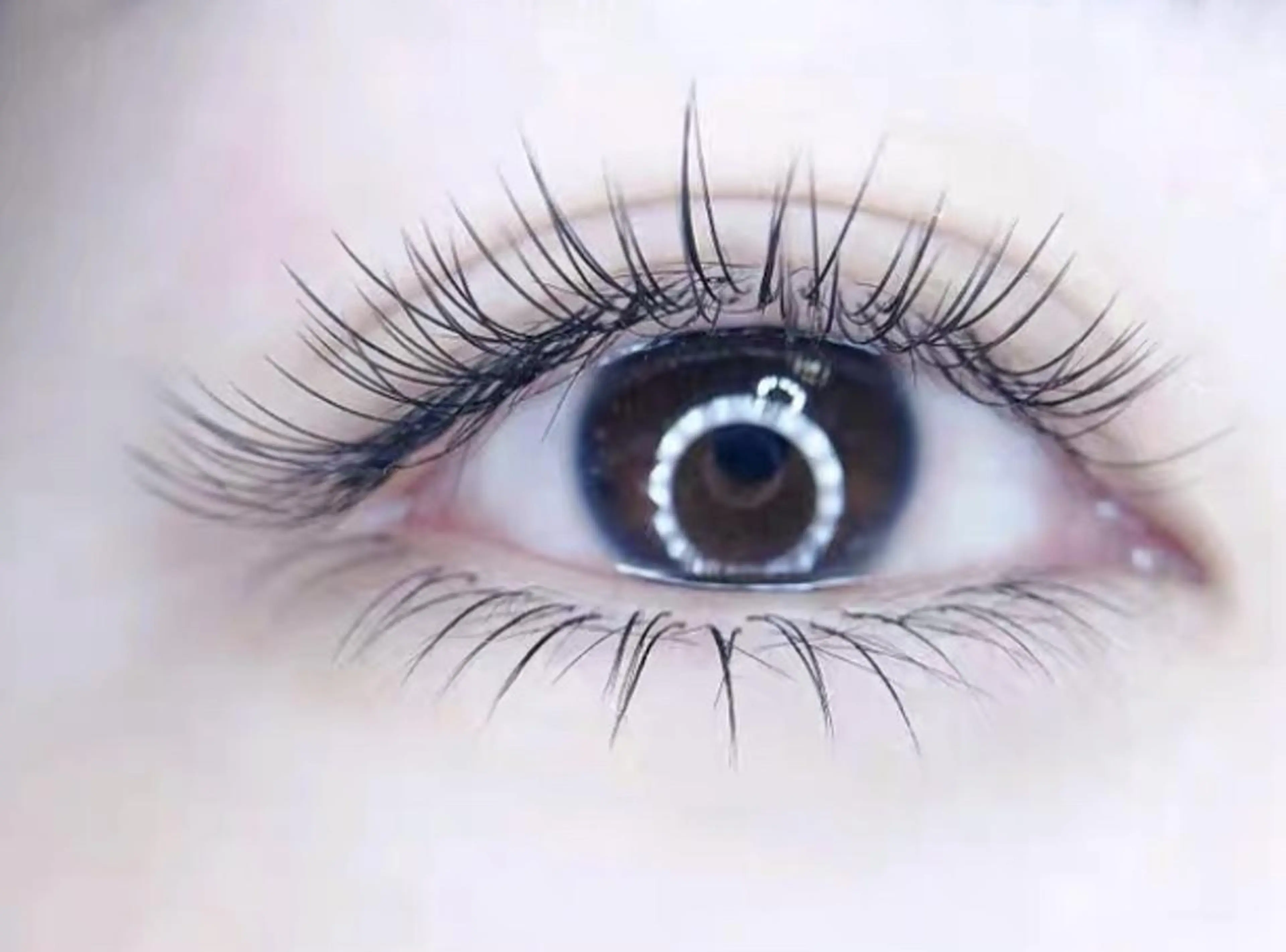 マツエク・マツパ Cute B e au t yのマツエク・マツパデザイン