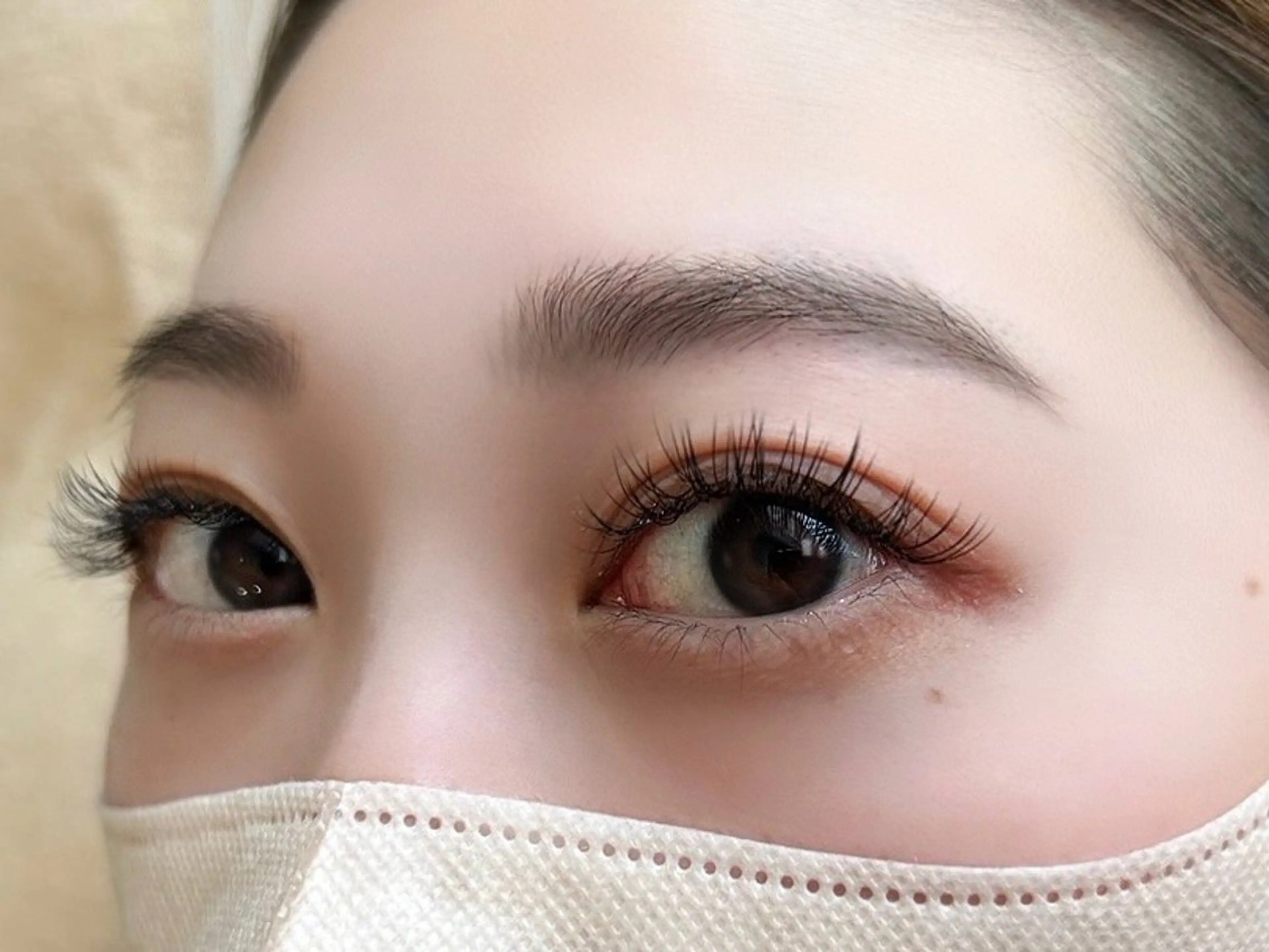 シングルボリューム80束の写真