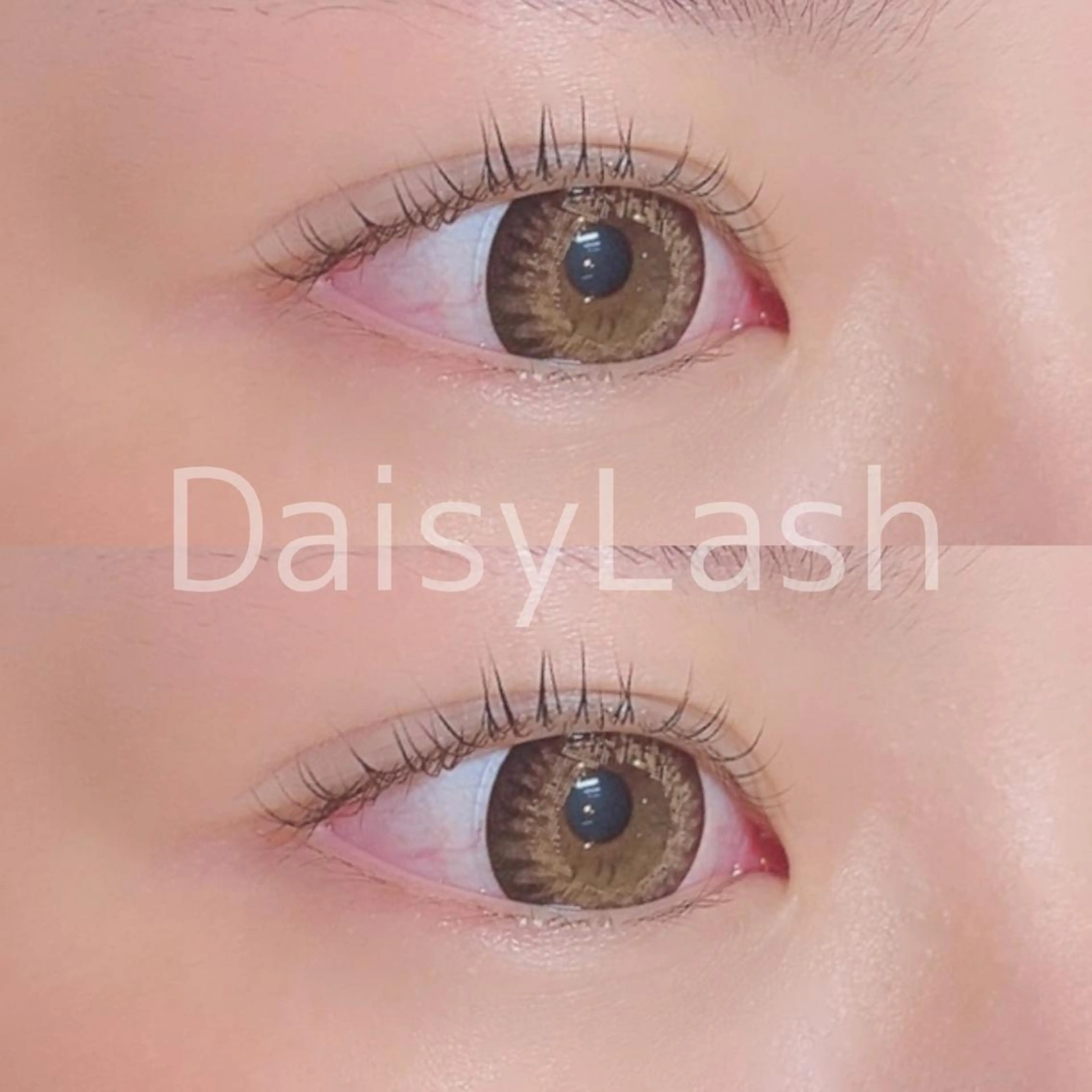 マツエク・マツパ DaisyLash 京橋店のマツエク・マツパデザイン