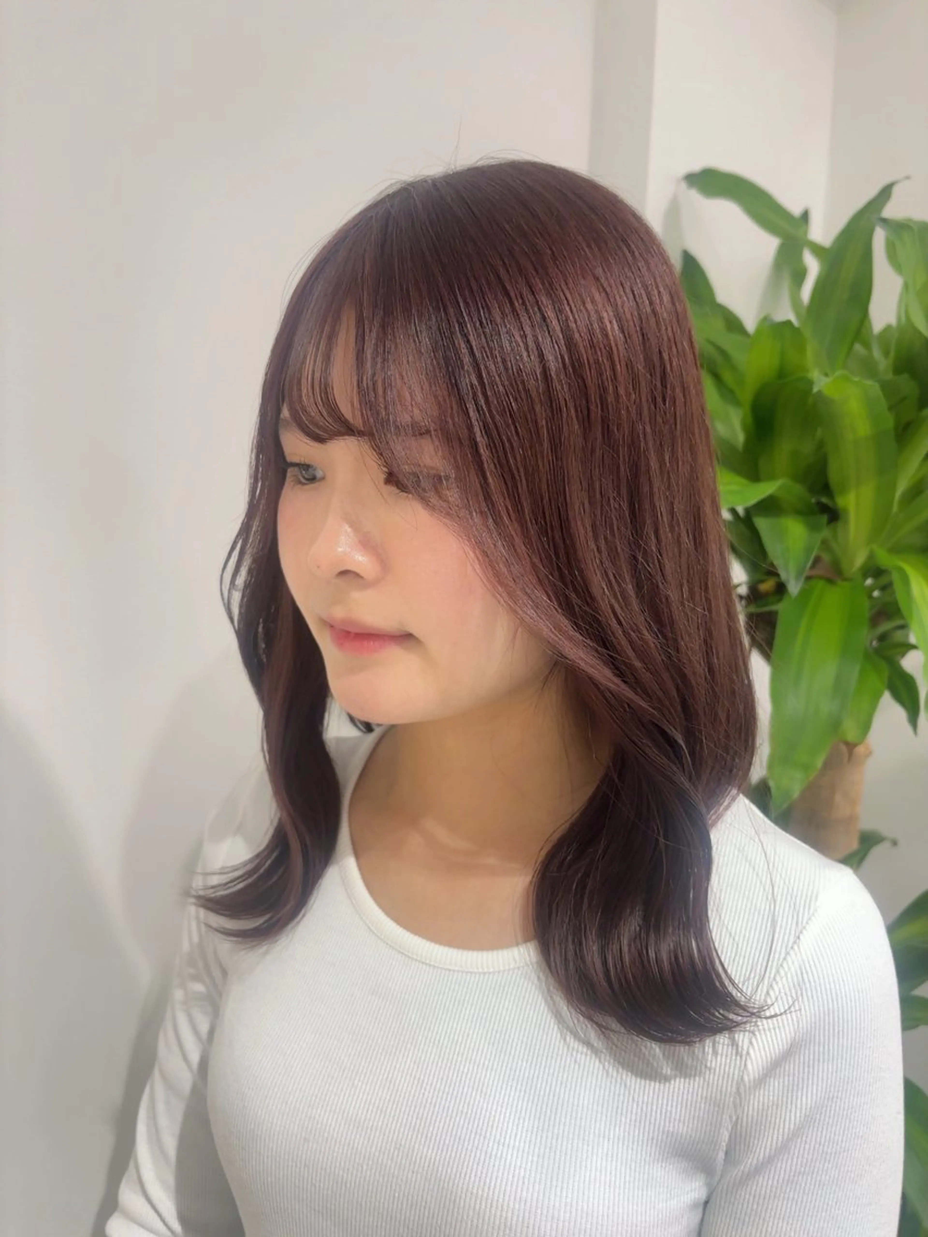 セミロング カラー ベージュカラー ブリーチ ブラウンカラー ケアブリーチ カシス レイヤーモデル 募集中🕊️正源のヘアスタイル