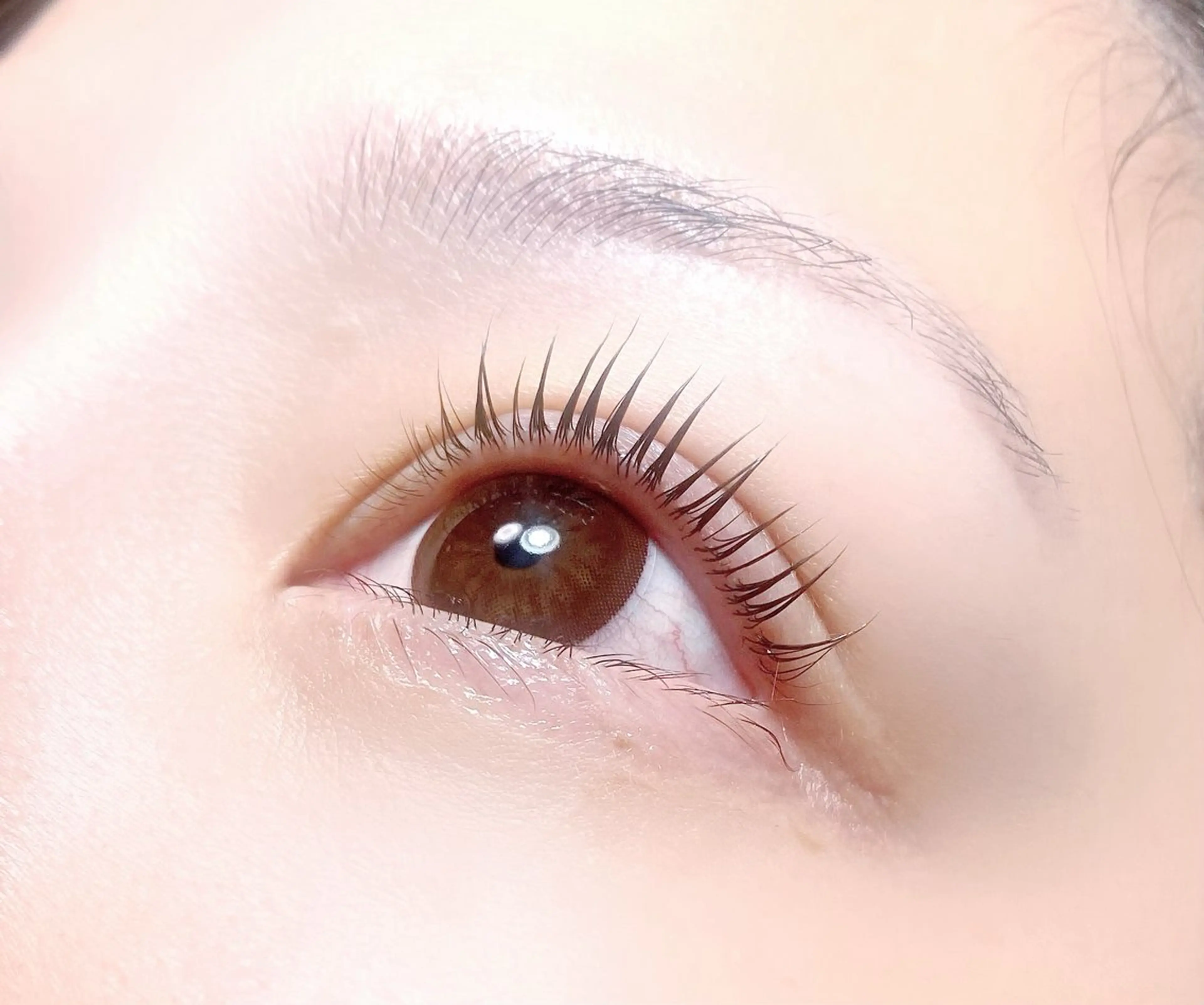 マツエク・マツパ パリジェンヌラッシュリフト 一重×まつ毛パーマ マツパ mångata 【モンガータ】茜のマツエク・マツパデザイン