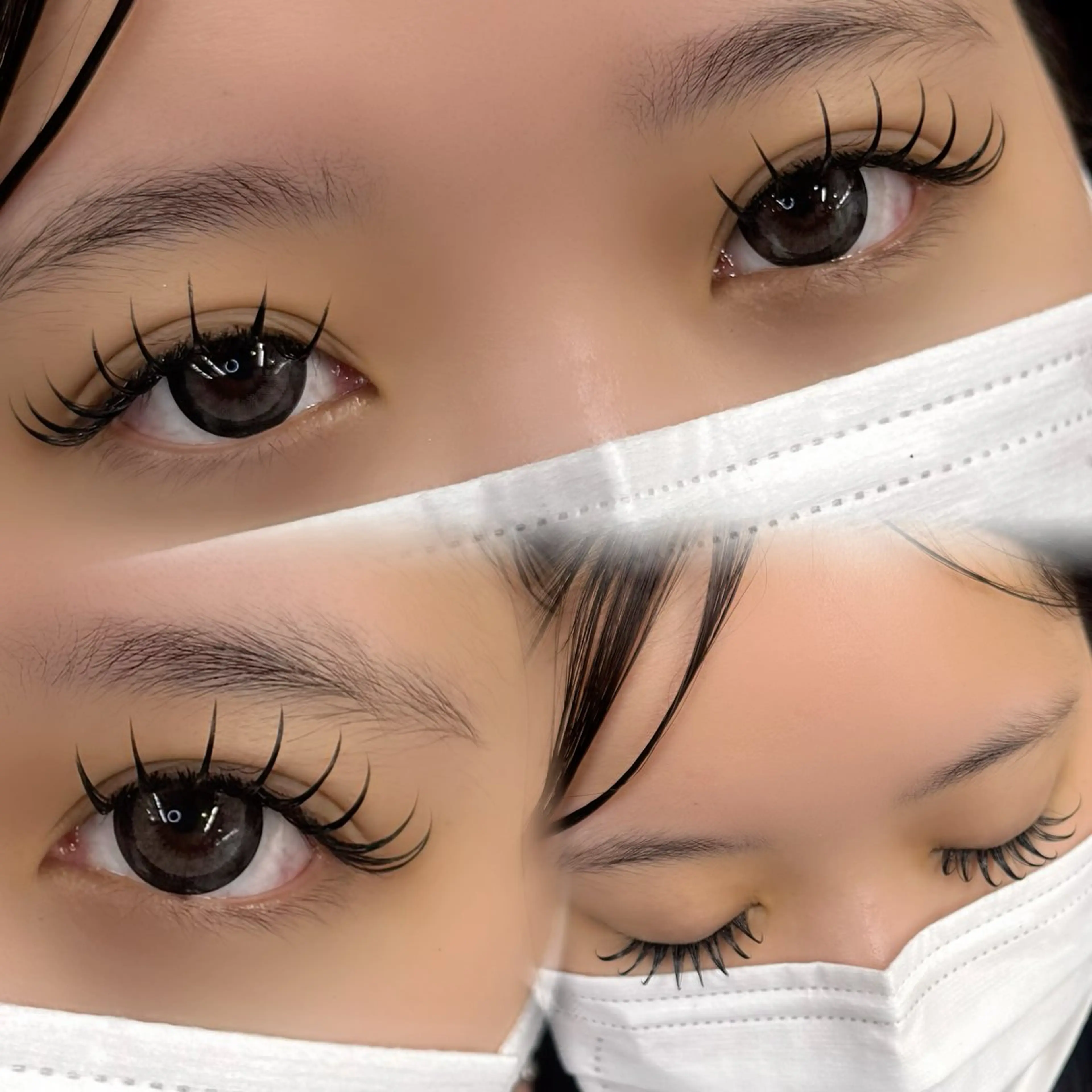 フラットラッシュ120本の写真