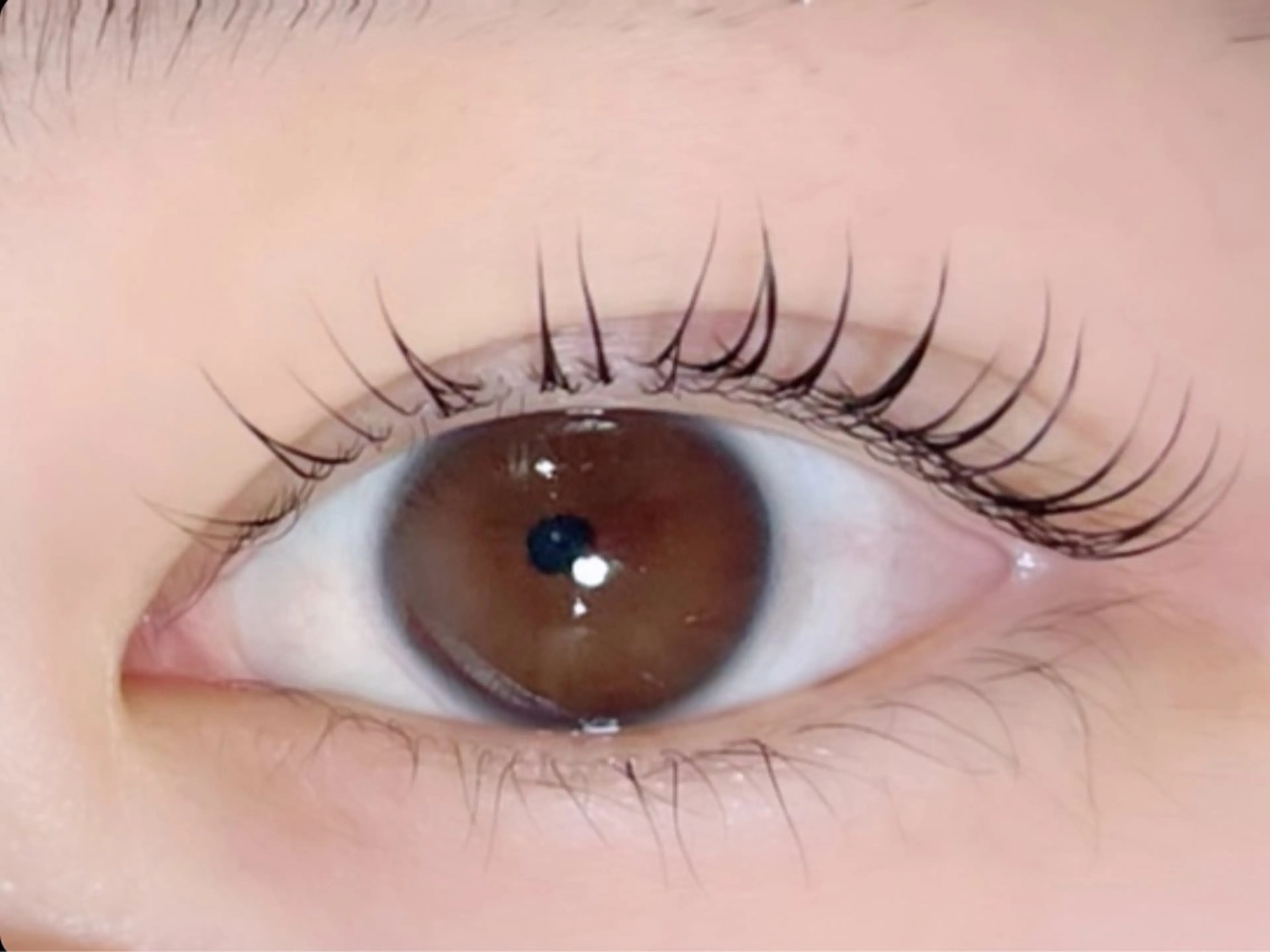 マツエク・マツパ 新柏PALS ｍｉｈｏのマツエク・マツパデザイン