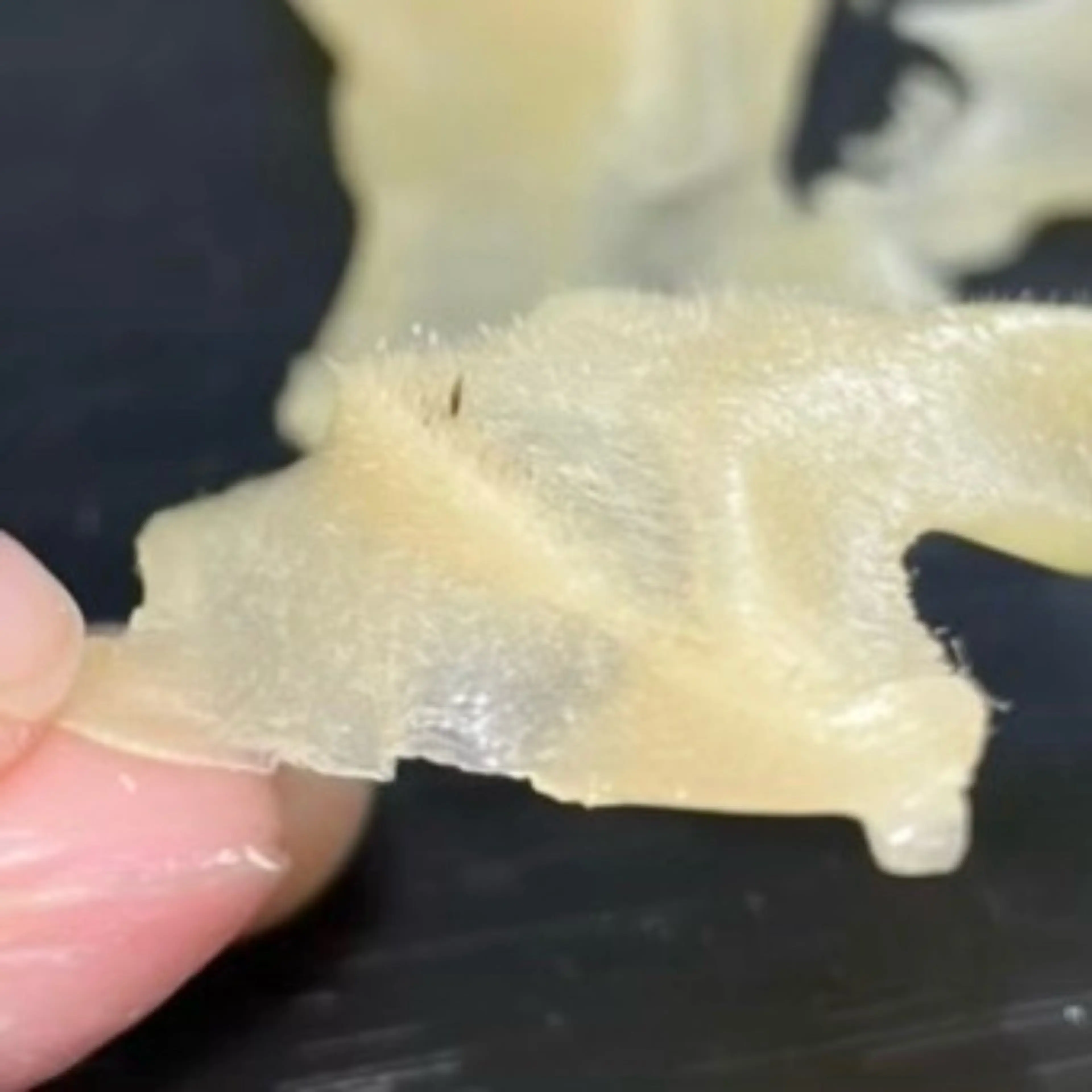 MY FAIR LADY所属・毛穴に特化したサロン MYFAIRLADYのエステ・リラクイメージ